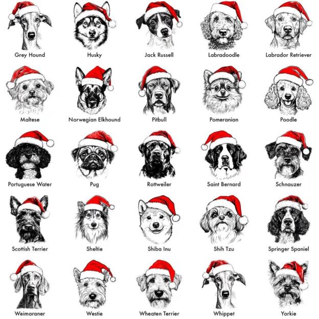 Personalized Santa Paws Dog Breed Family Matching T-Shirts Beepumpkin