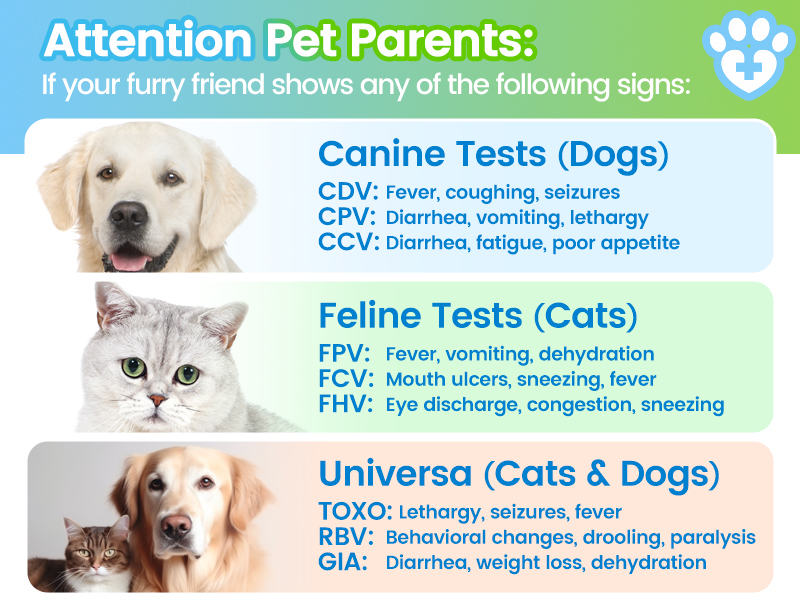 【 READY STOCK 】Test Kit Dog Cat Canine Distemper Virus Parvovirus Test Kit CCV/CDV/FPV/CPV