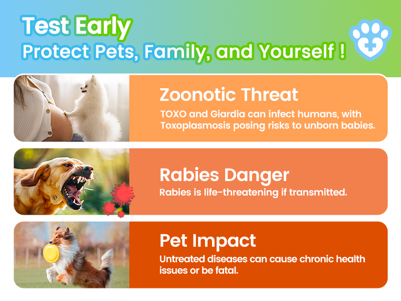 【 READY STOCK 】Test Kit Dog Cat Canine Distemper Virus Parvovirus Test Kit CCV/CDV/FPV/CPV