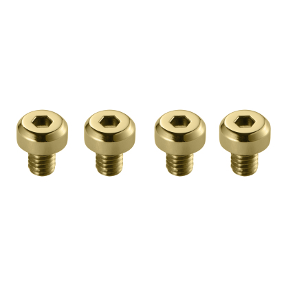 [SKXMOD] Shroud Screws for Ana-Digi Tuna Modding Kits