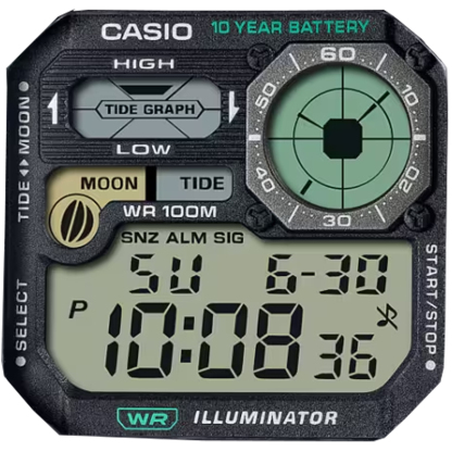 Casio Royale Stock and Modded Modules