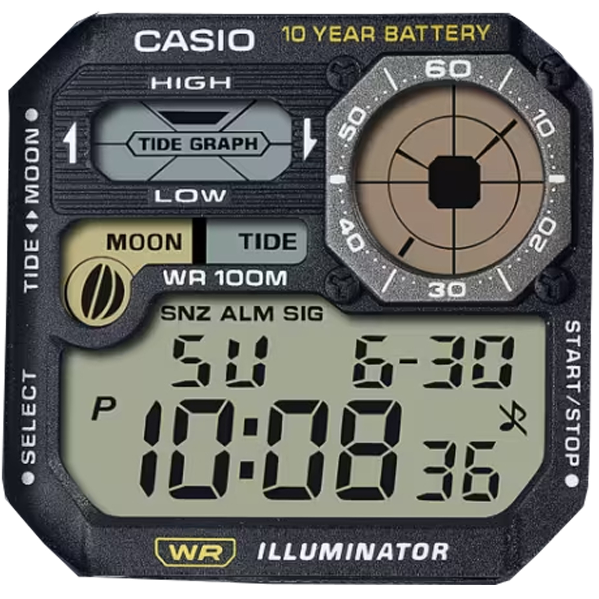 Casio Royale Stock and Modded Modules