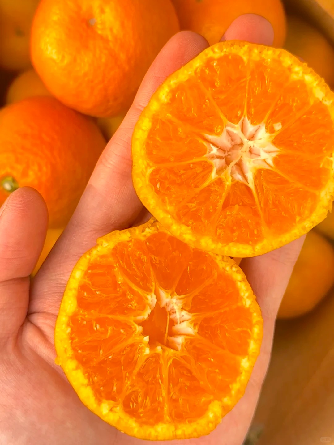 Shimen Honey Mandarin | Thin Skin, Juicy, and Sweet