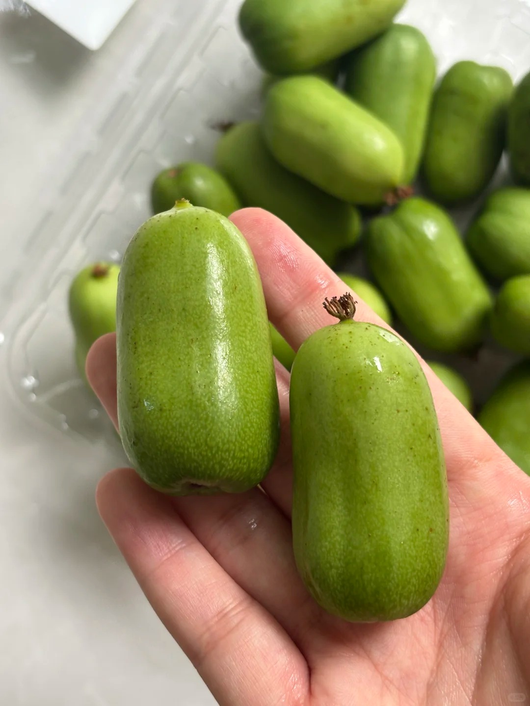 Kiwi berry| Bite-Sized, Juicy, and Fragrant