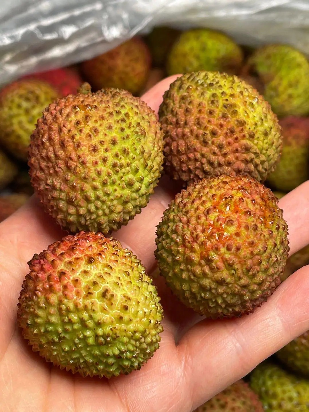 Feizixiao Lychee | Thin Skin, Small Seed, Refreshingly Sweet