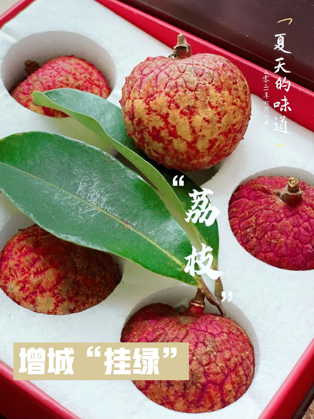 Gualv Lychee | Unique Color, Rich Honey Aroma