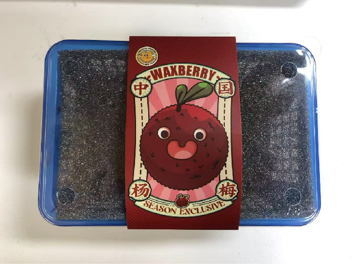 Waxberry