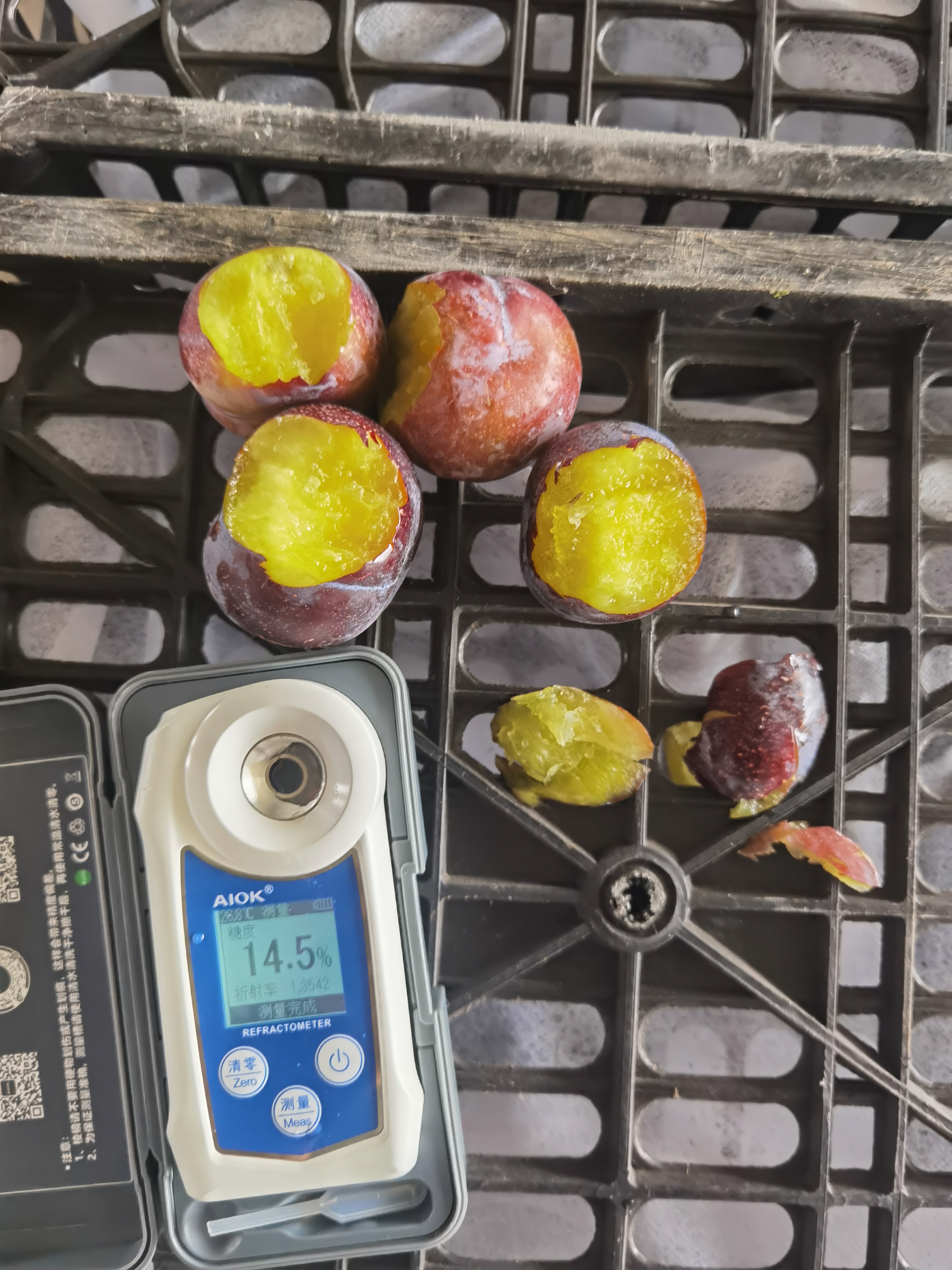 Black Plum | Deep Purple, Juicy, and Sweet