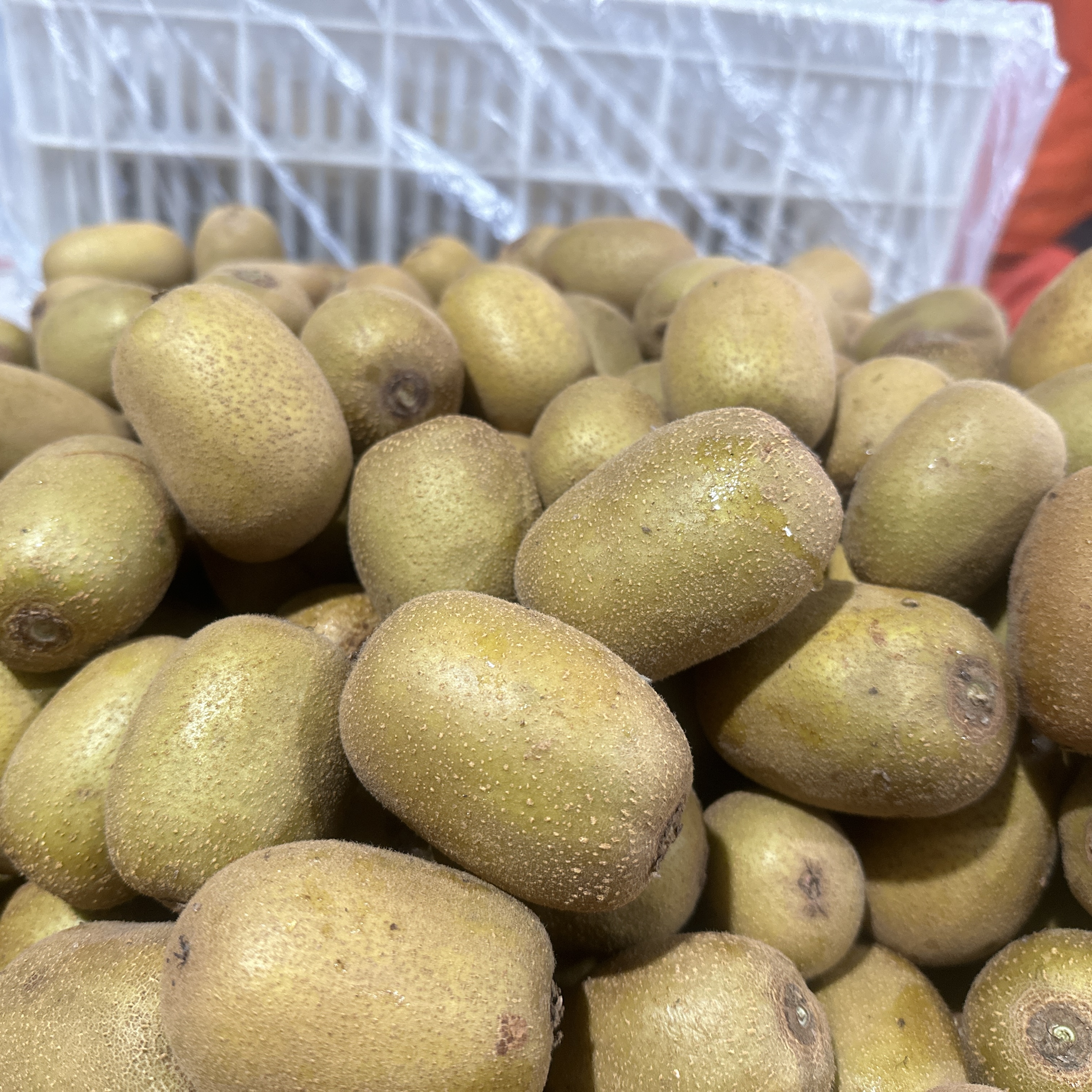 Kiwi Fruit | Sweet-Tart Balance, Fresh and Juicy