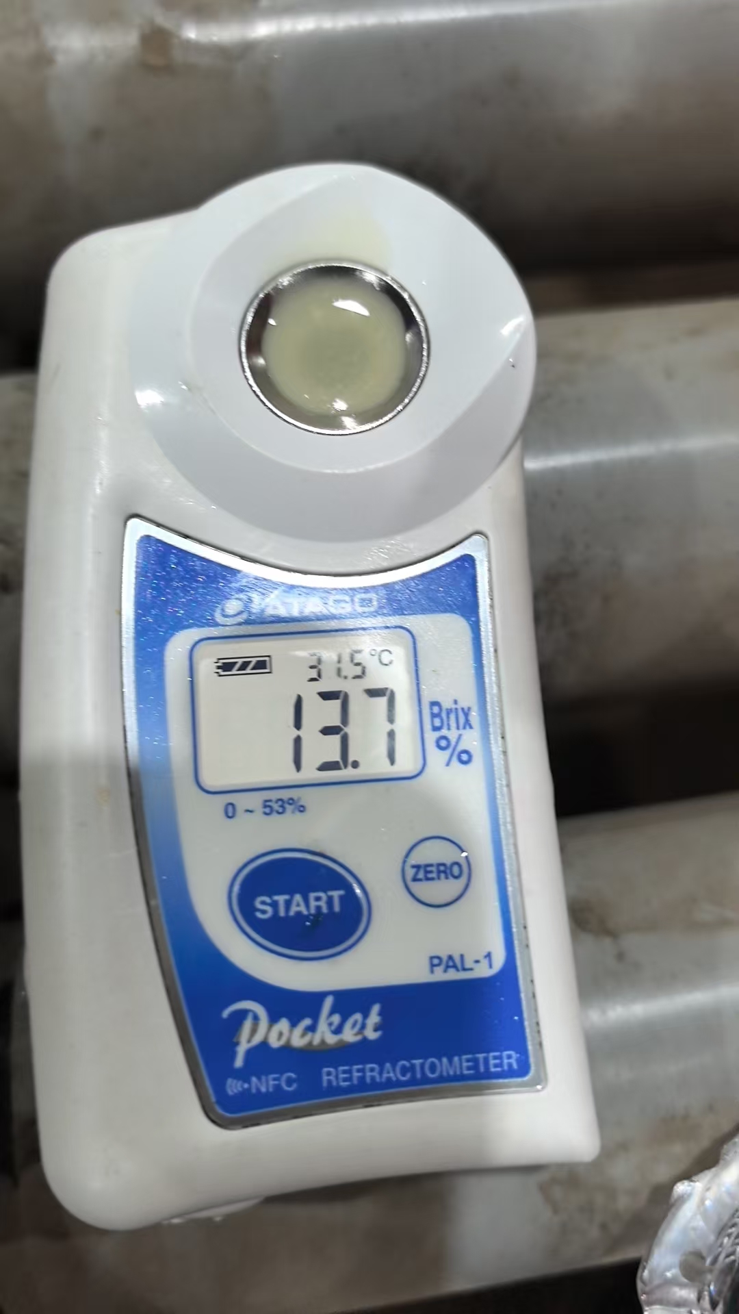 Kiwi Fruit | Sweet-Tart Balance, Fresh and Juicy