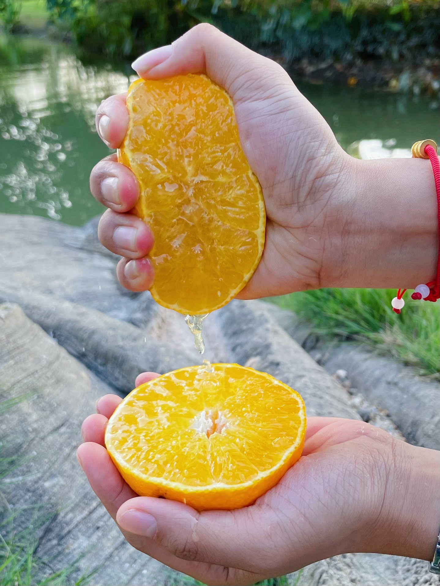 Red Beauty Mandarin | Bright Red, Sweet and Juicy