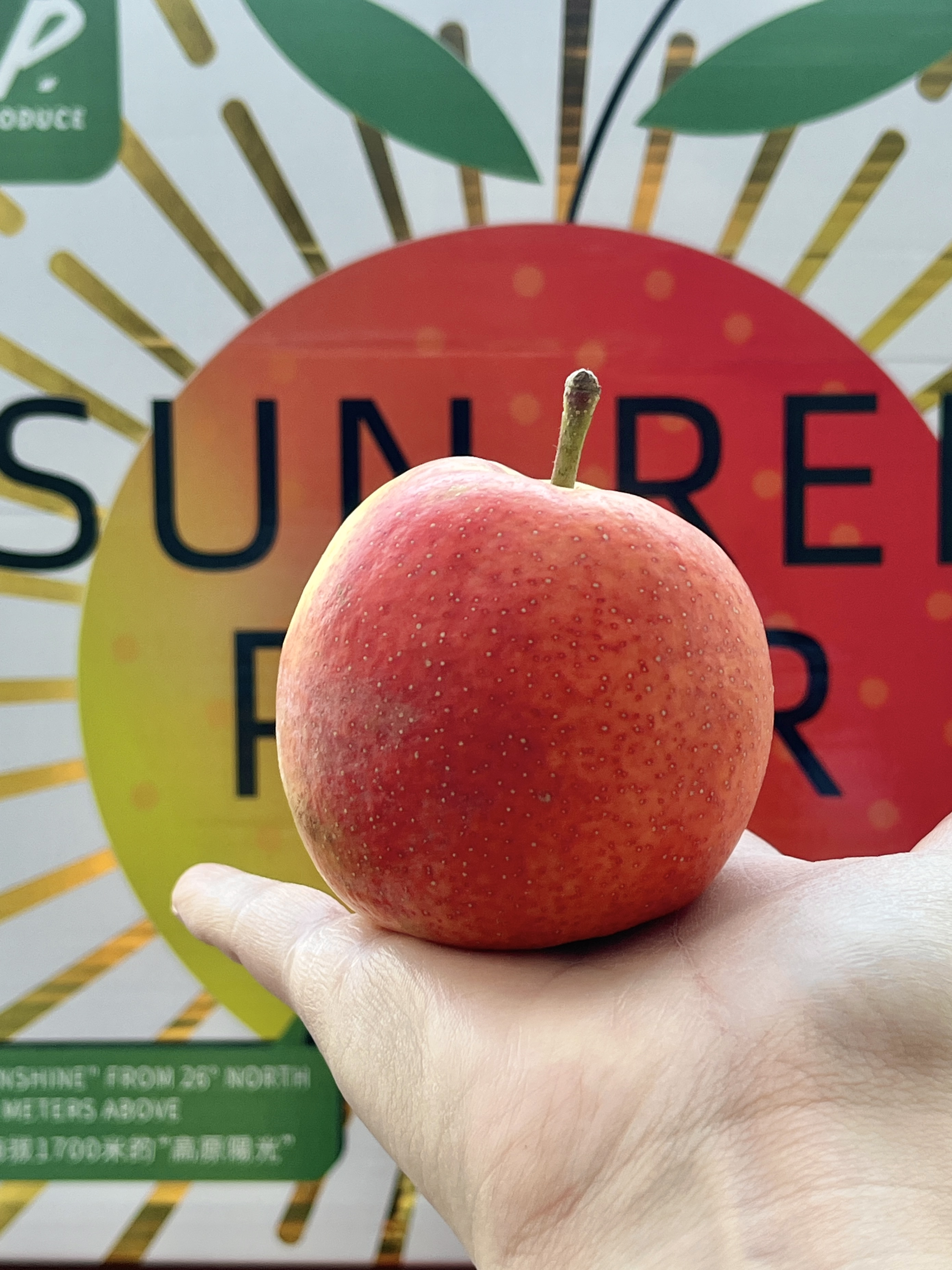 Sun Red Pear 