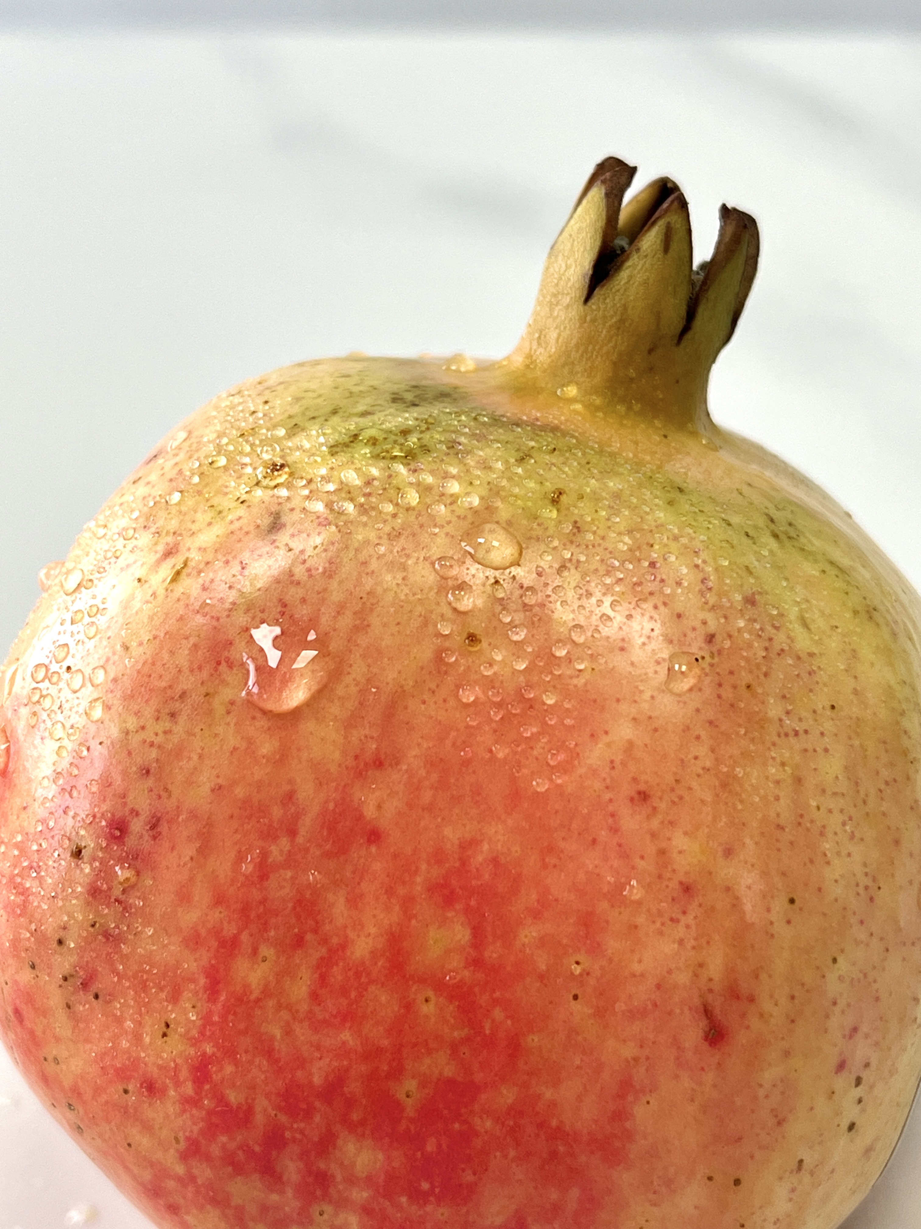 Tunisian Pomegranate