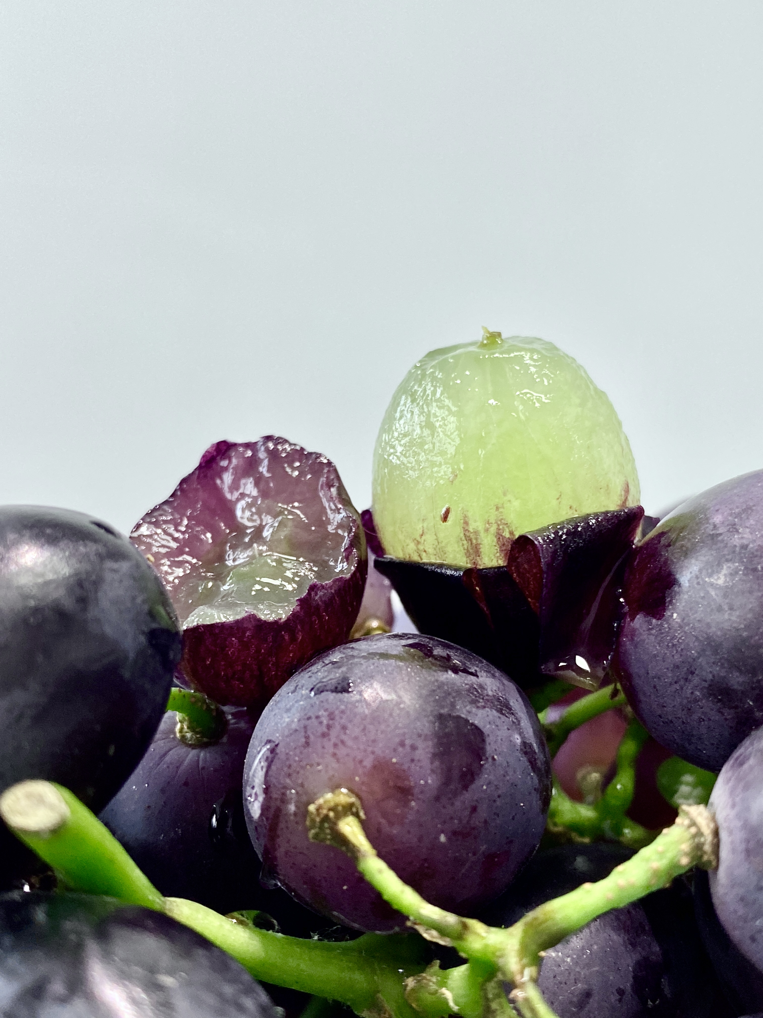 Purple Sweet A17 Grape 