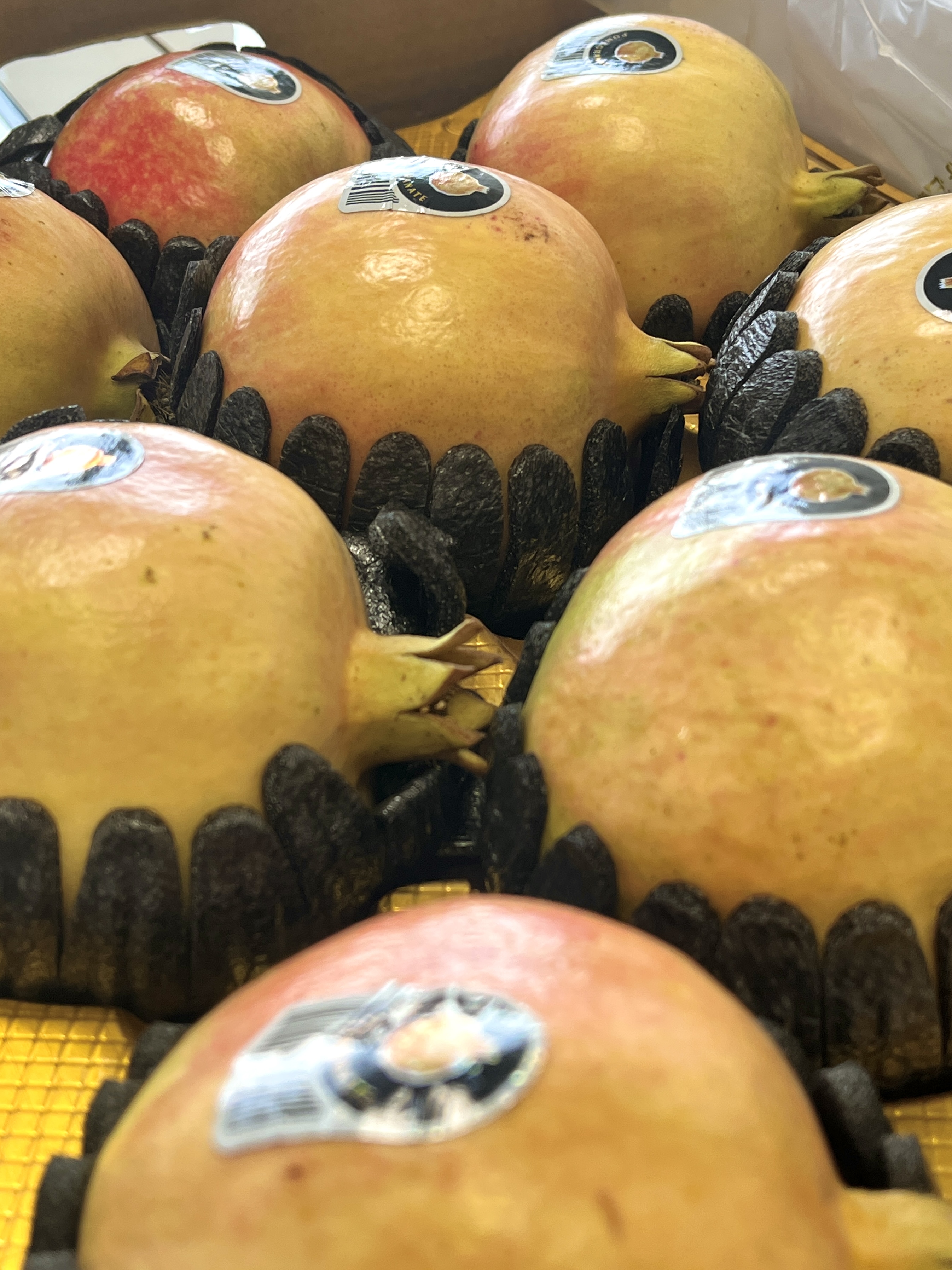 Tunisian Pomegranate