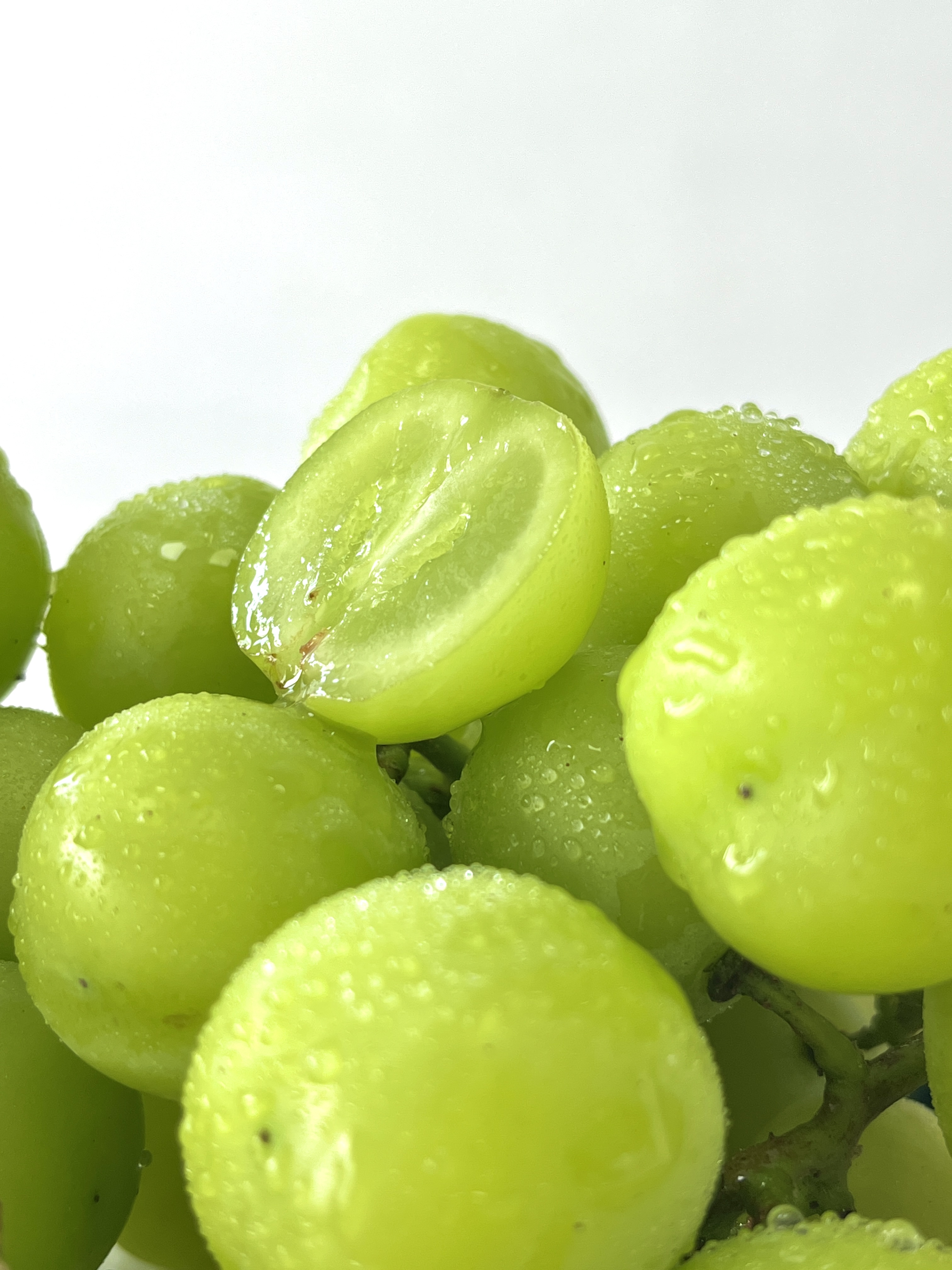 Shine-Muscat Grape