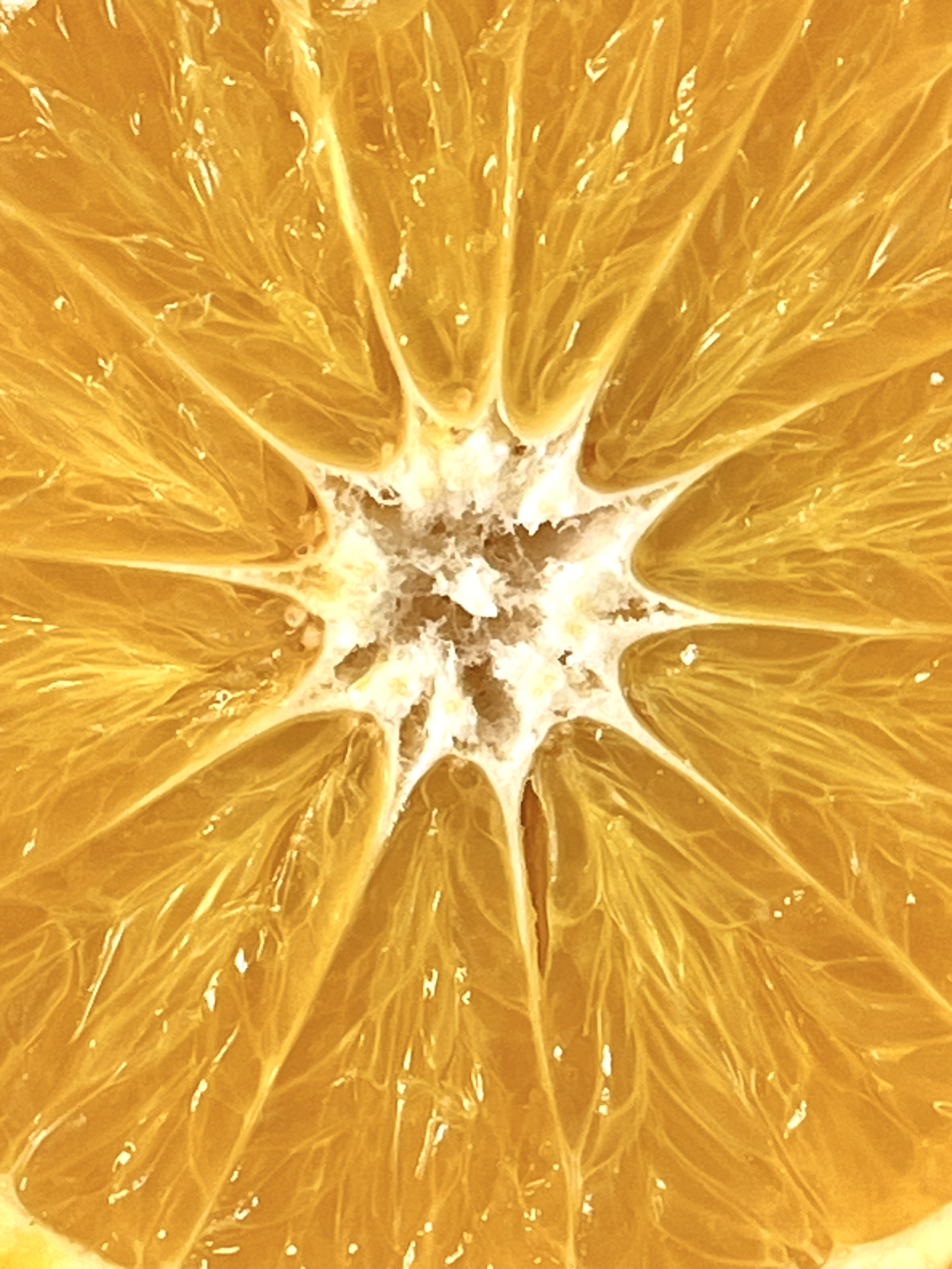 Red Beauty Mandarin | Bright Red, Sweet and Juicy