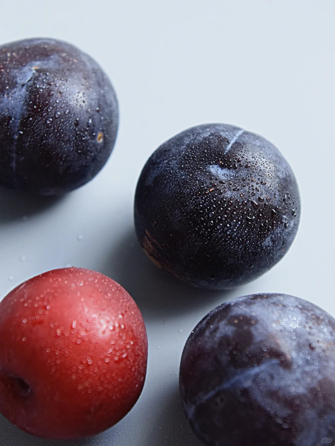 Black Plum | Deep Purple, Juicy, and Sweet