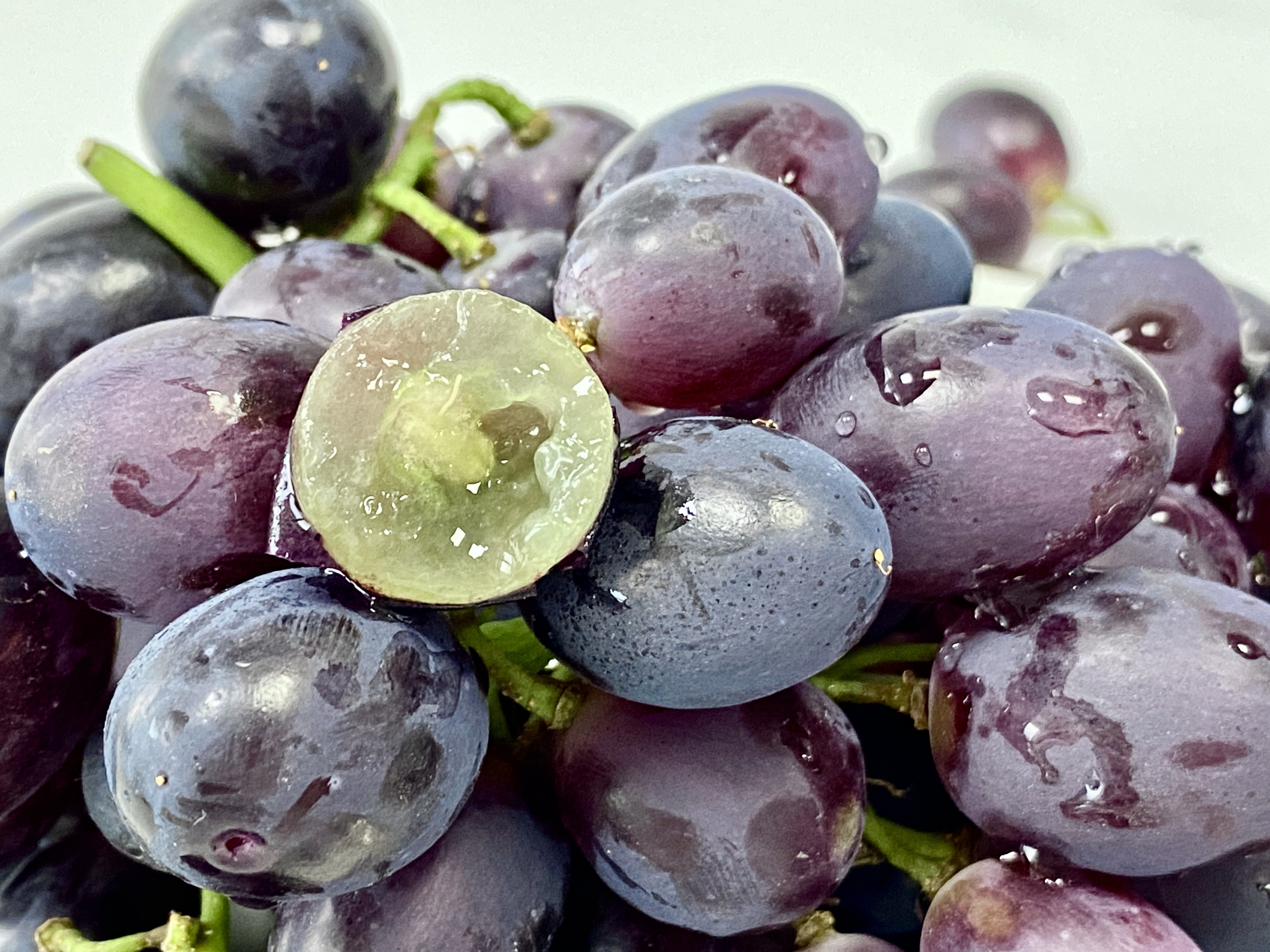 Purple Sweet A17 Grape 