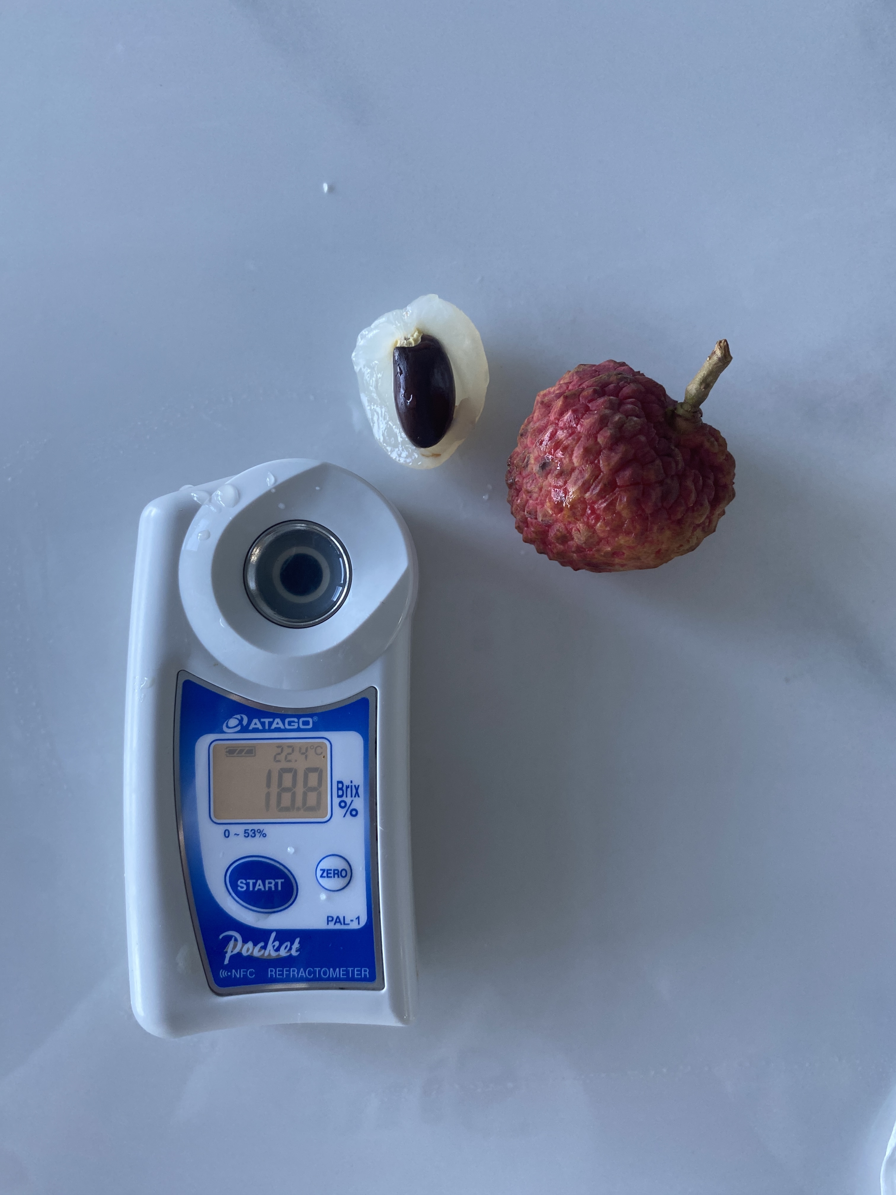 Xianjinfeng Lychee | Crisp, Juicy, and Fragrant