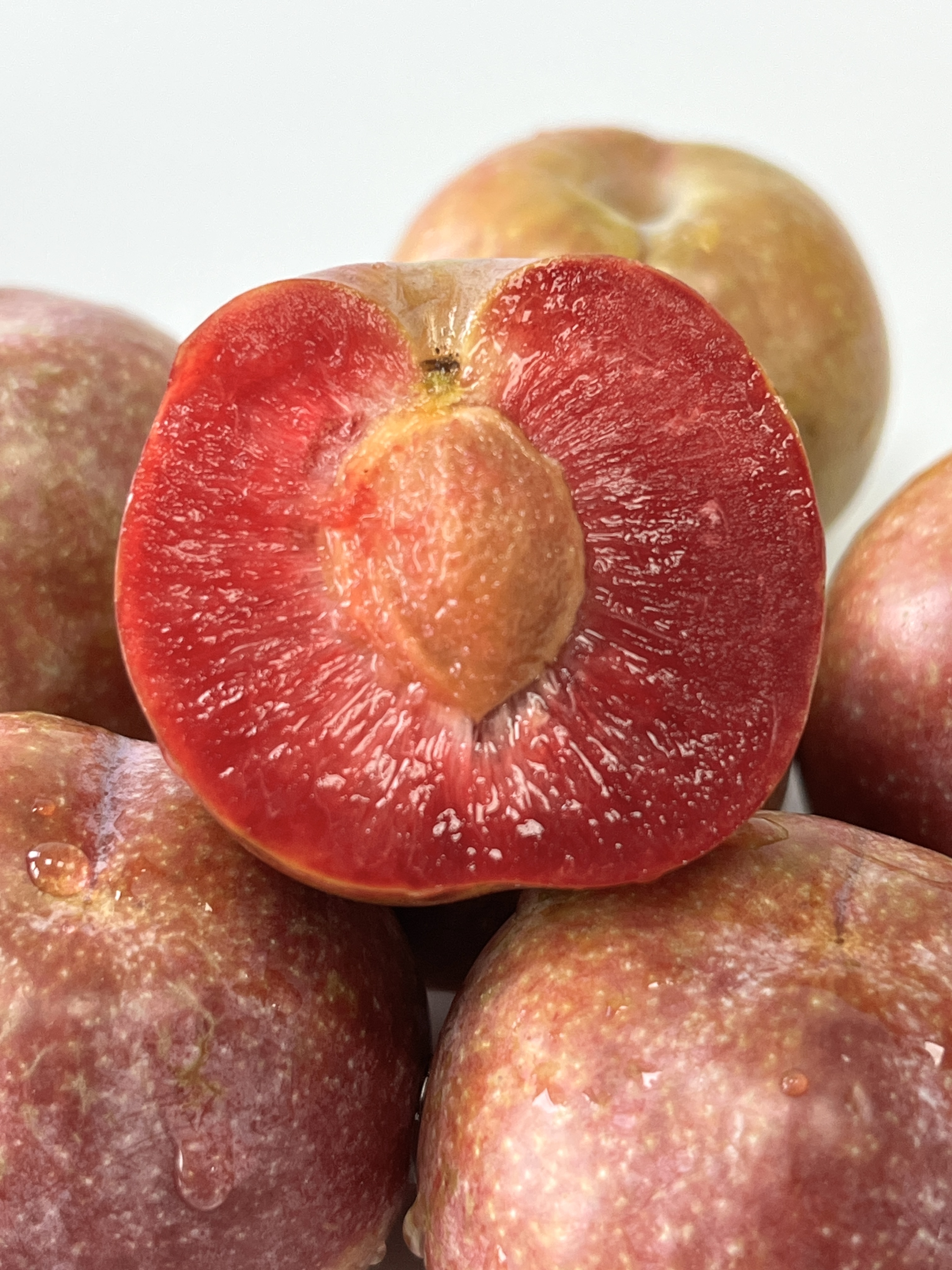 Sanhua Plum