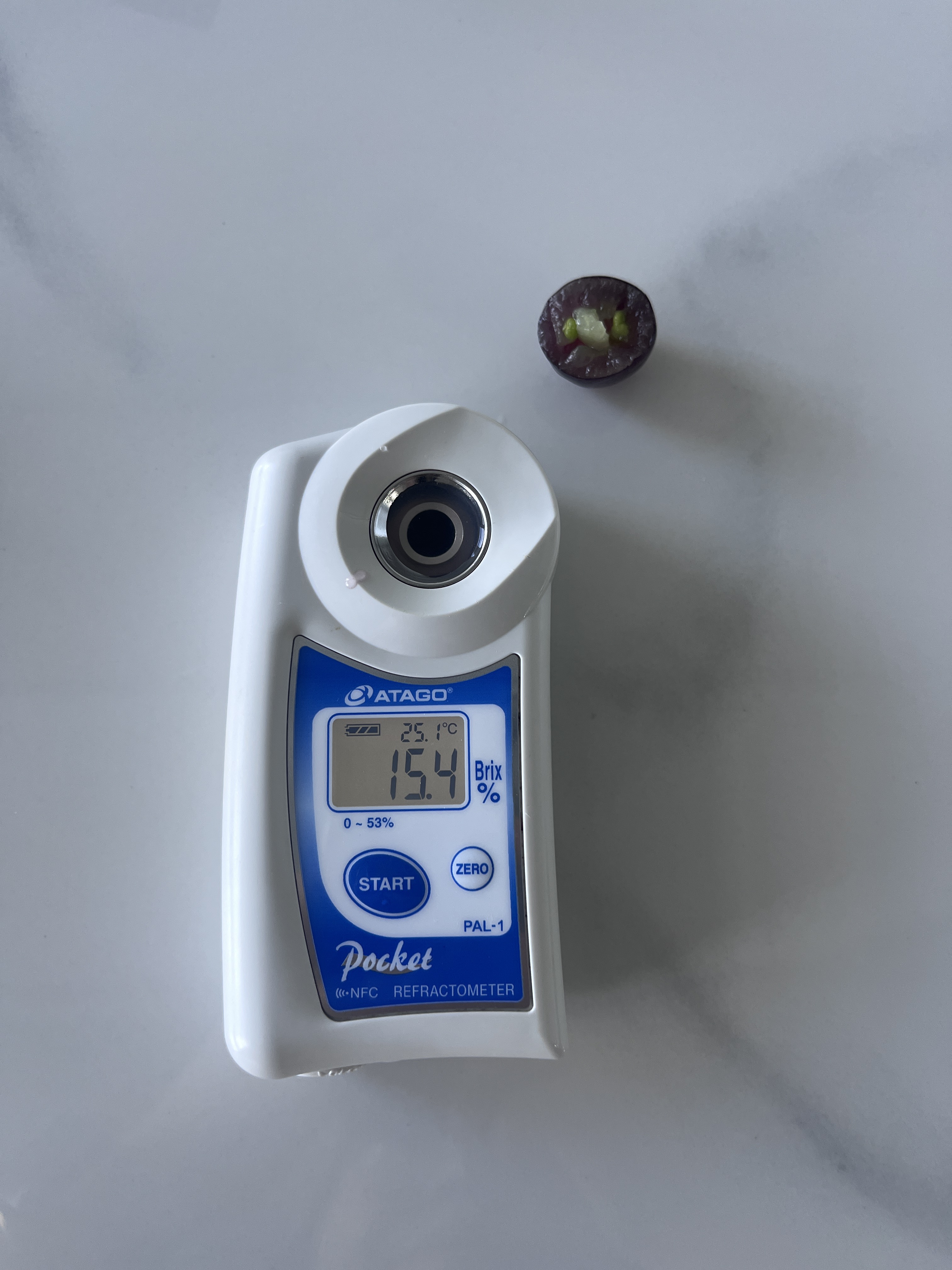 Purple Sweet A17 Grape 