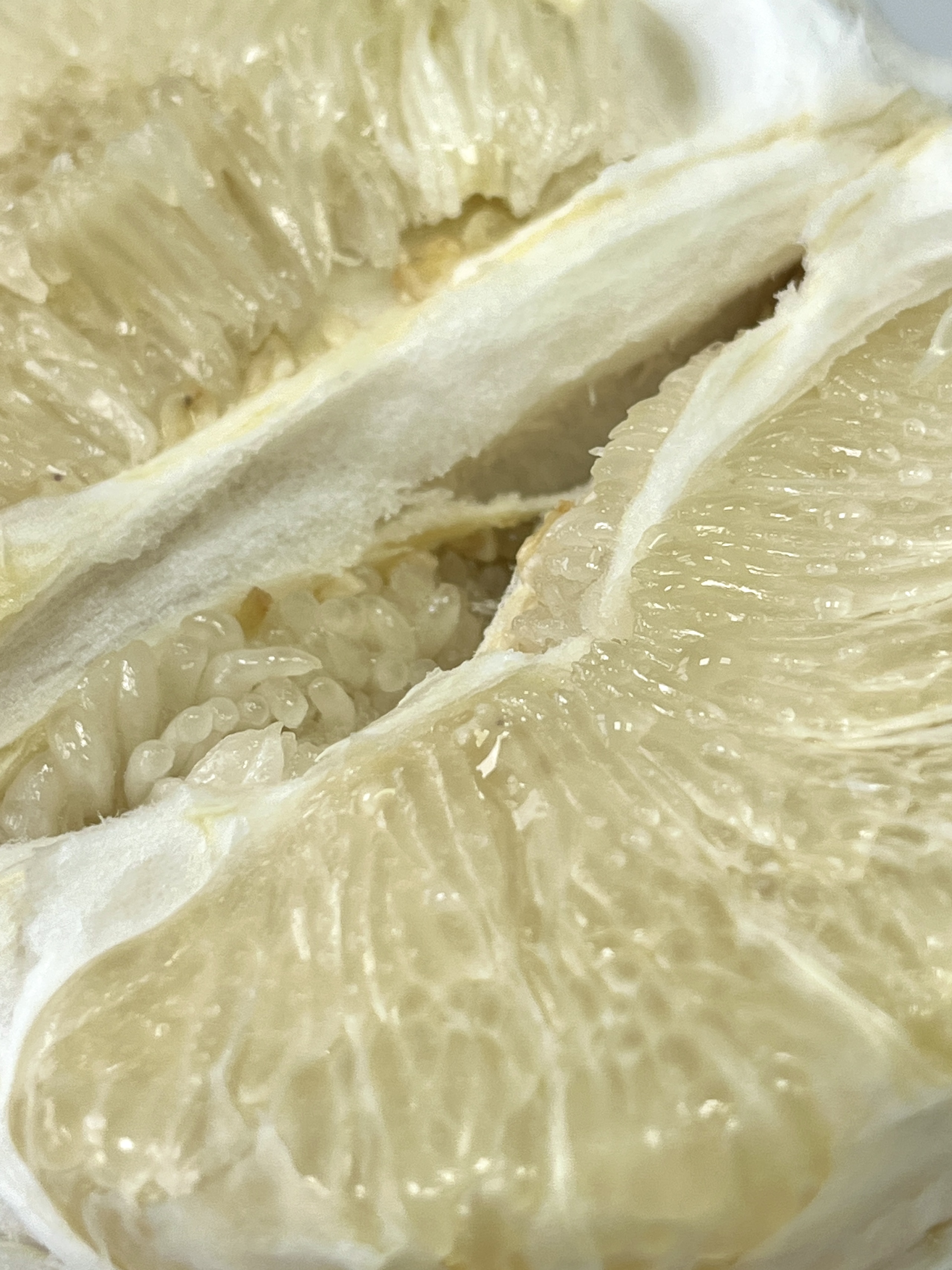White Pomelo