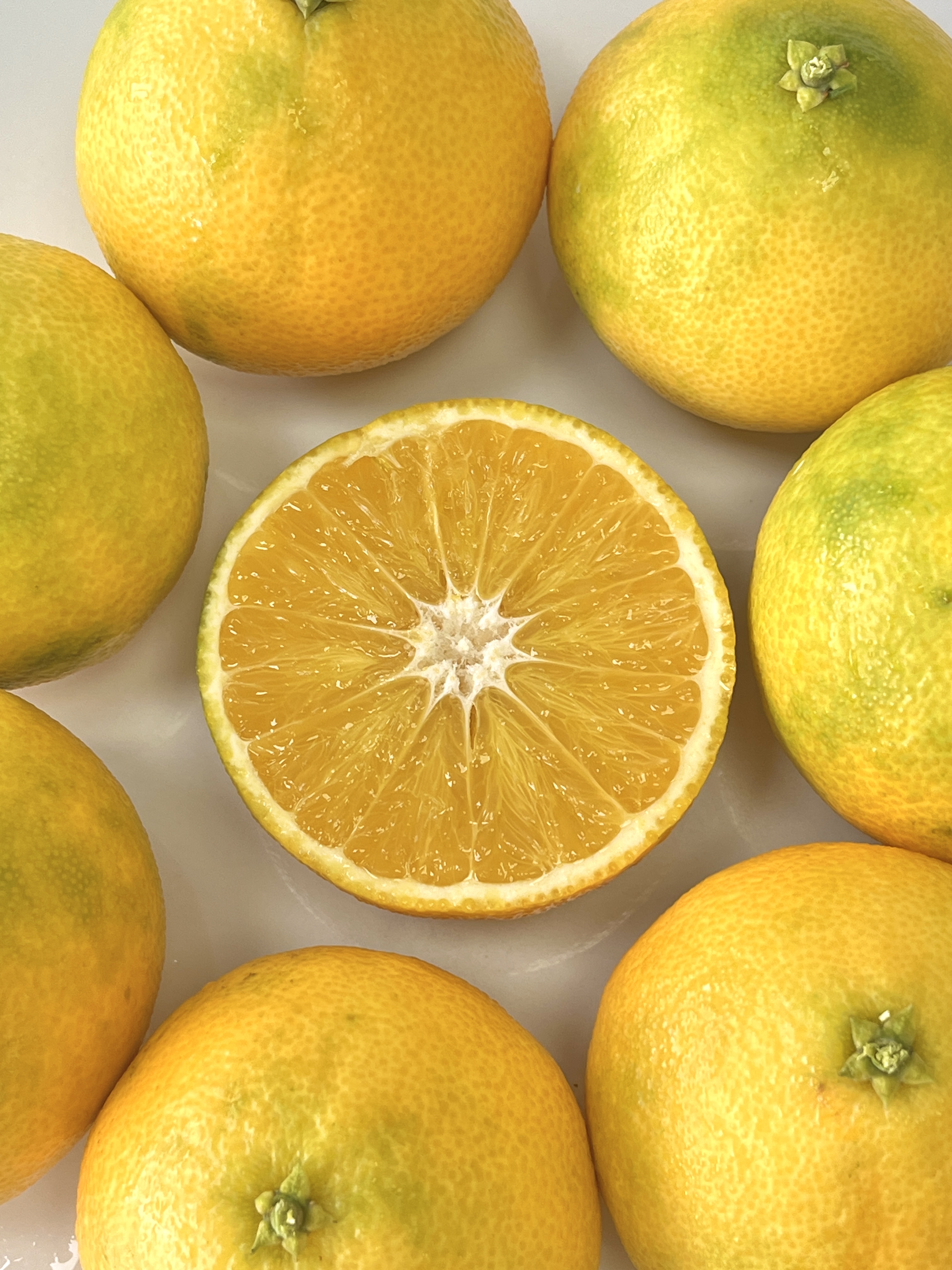 Red Beauty Mandarin | Bright Red, Sweet and Juicy