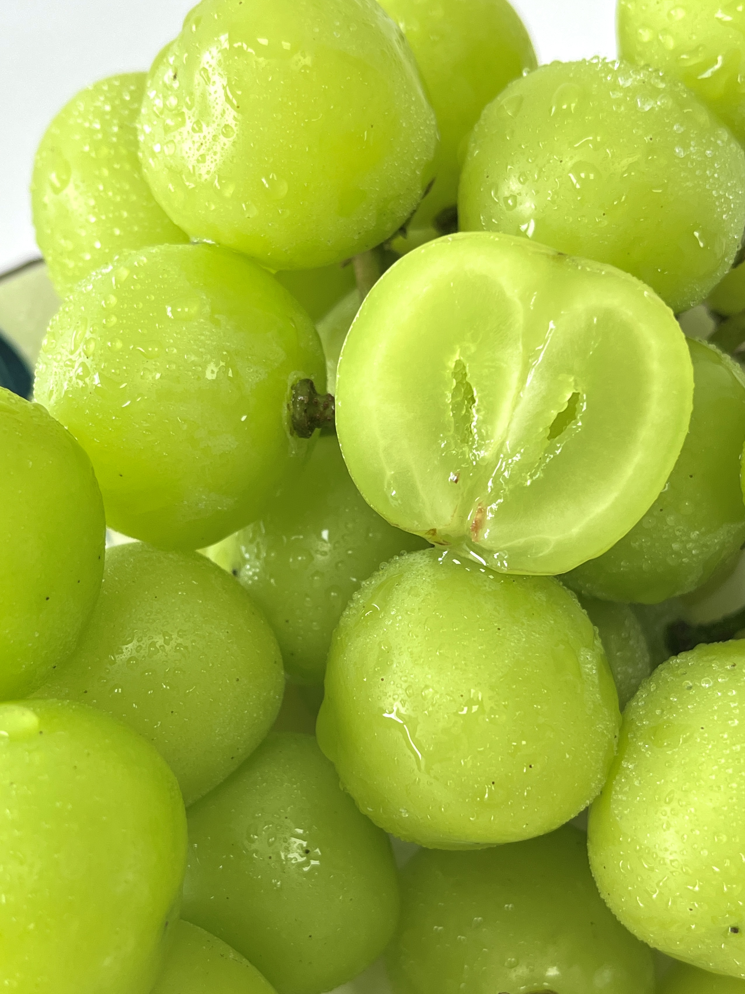 Shine-Muscat Grape