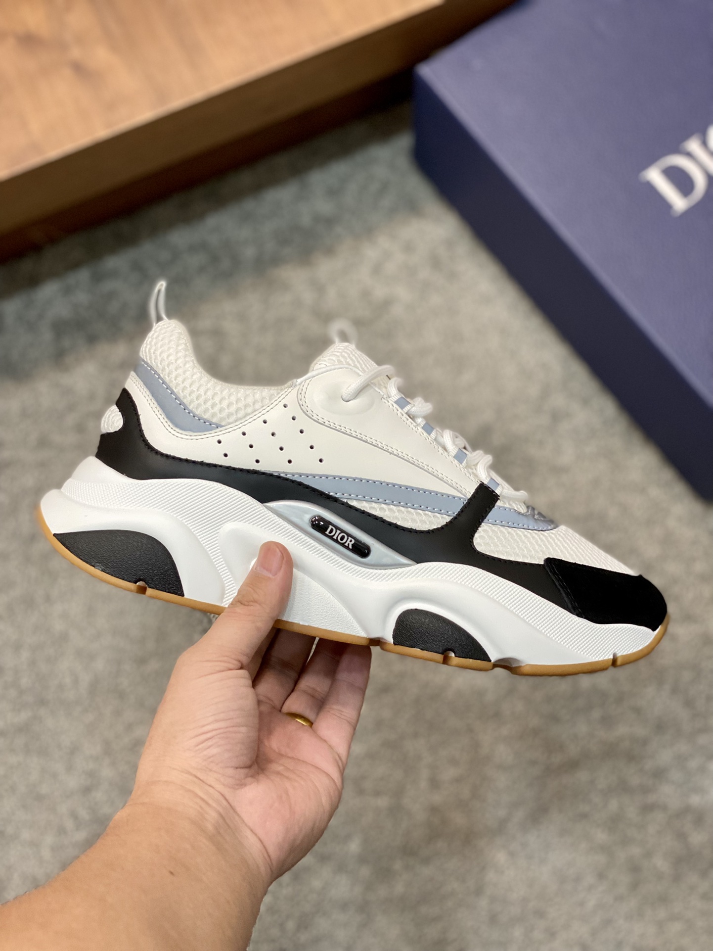 DIOR B22