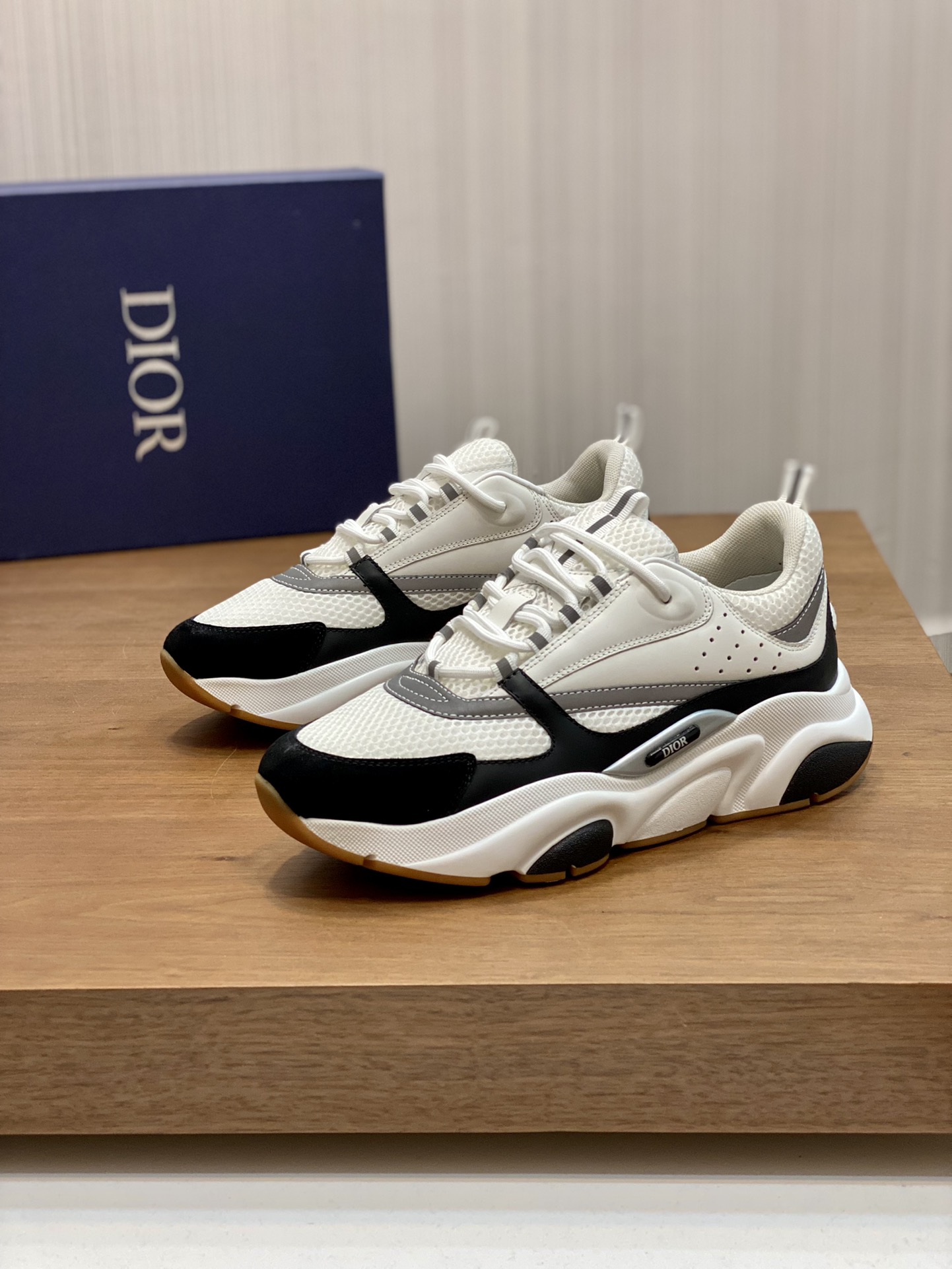 DIOR B22