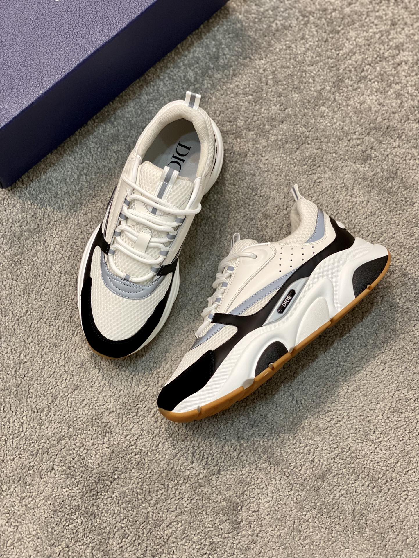 DIOR B22