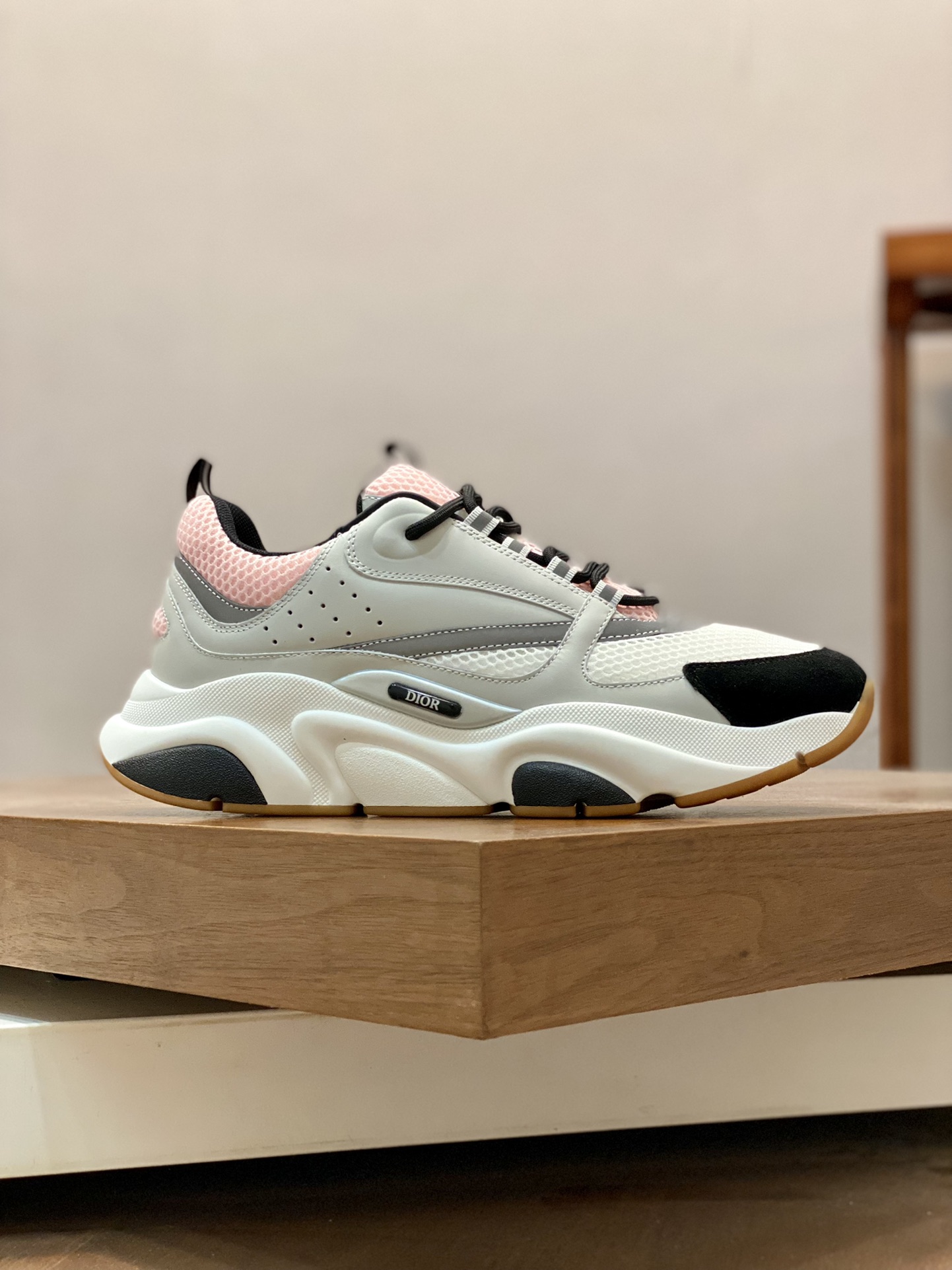 DIOR B22