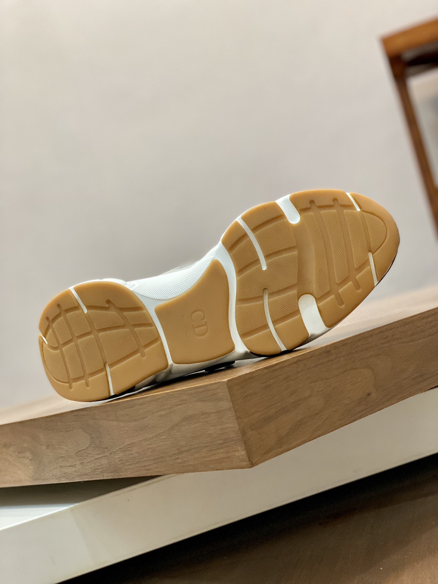 DIOR B22