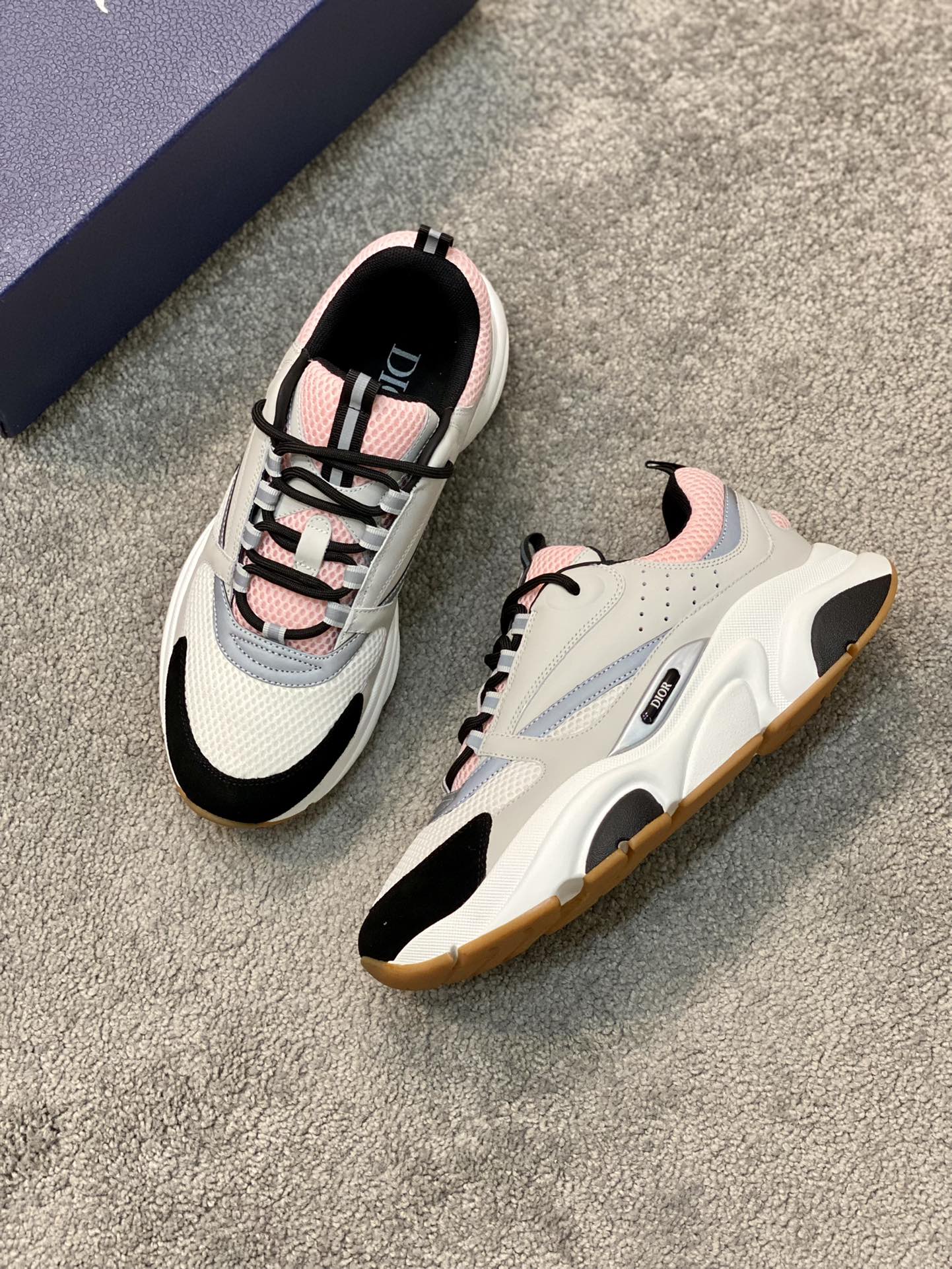 DIOR B22