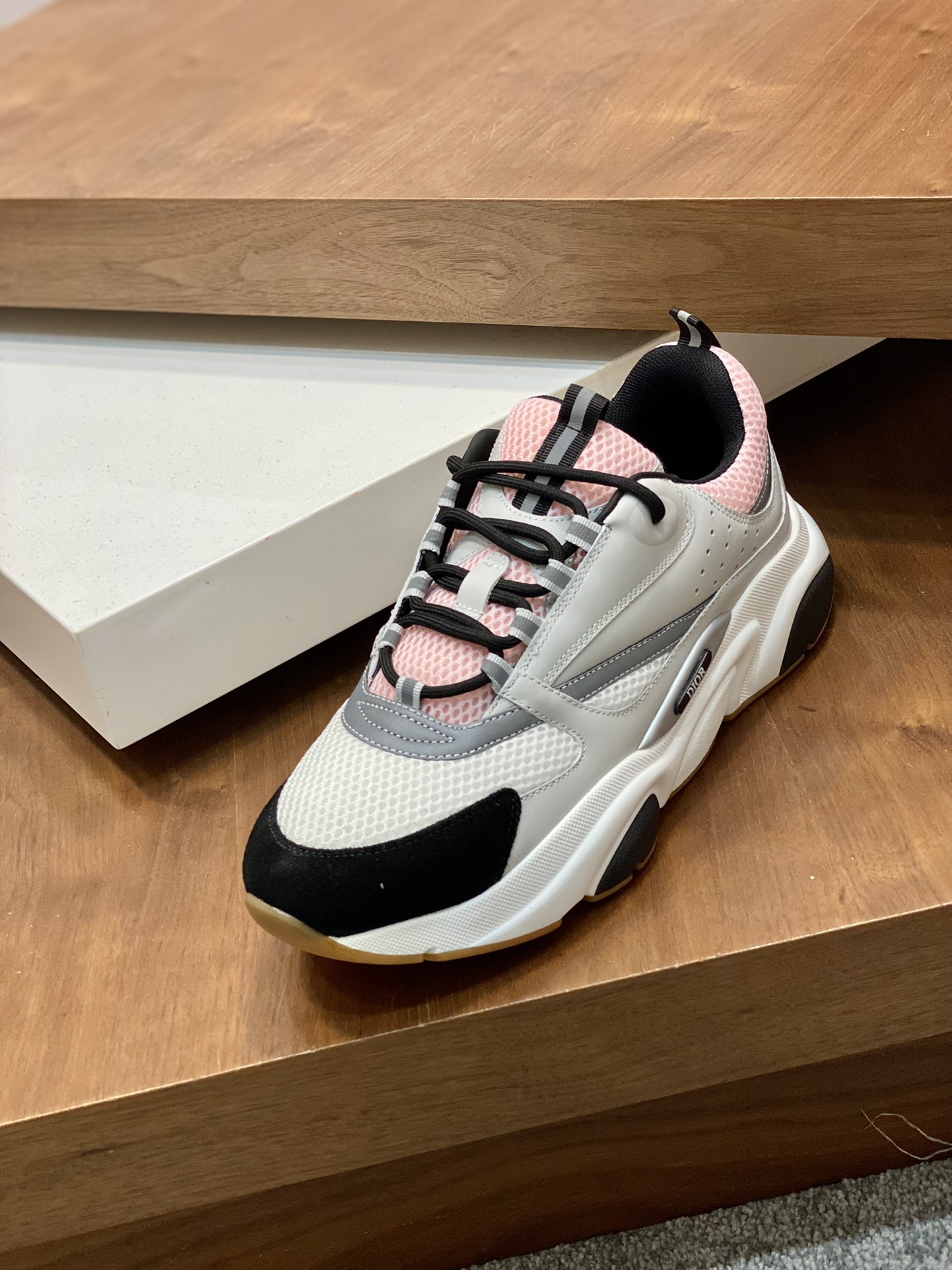 DIOR B22