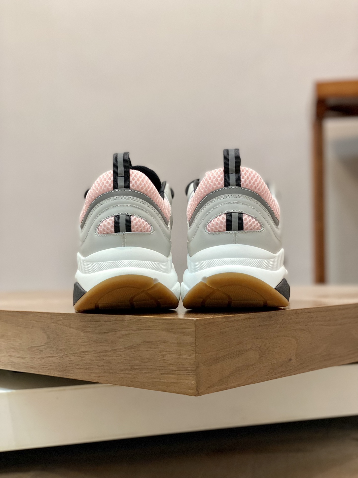 DIOR B22