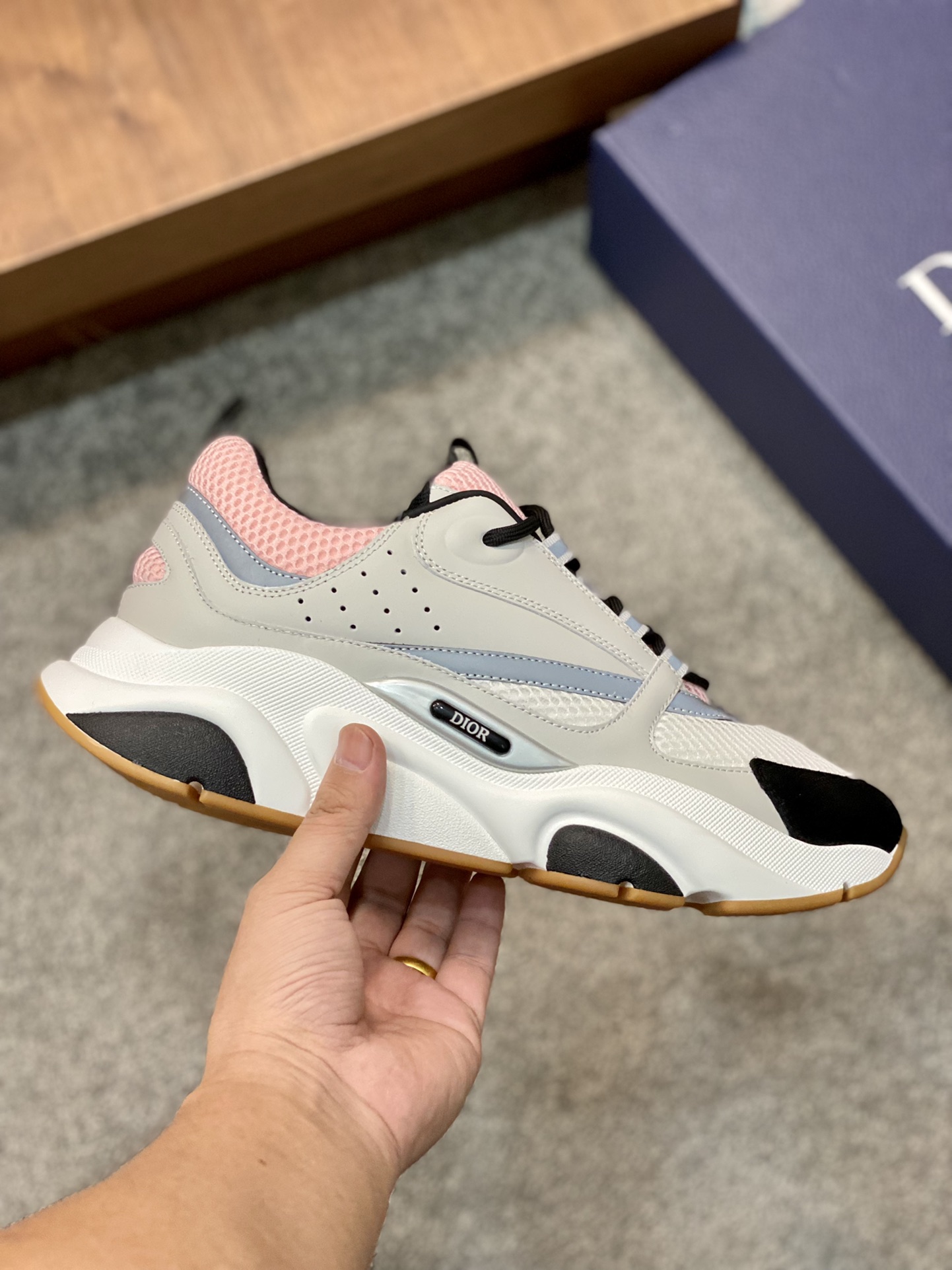 DIOR B22