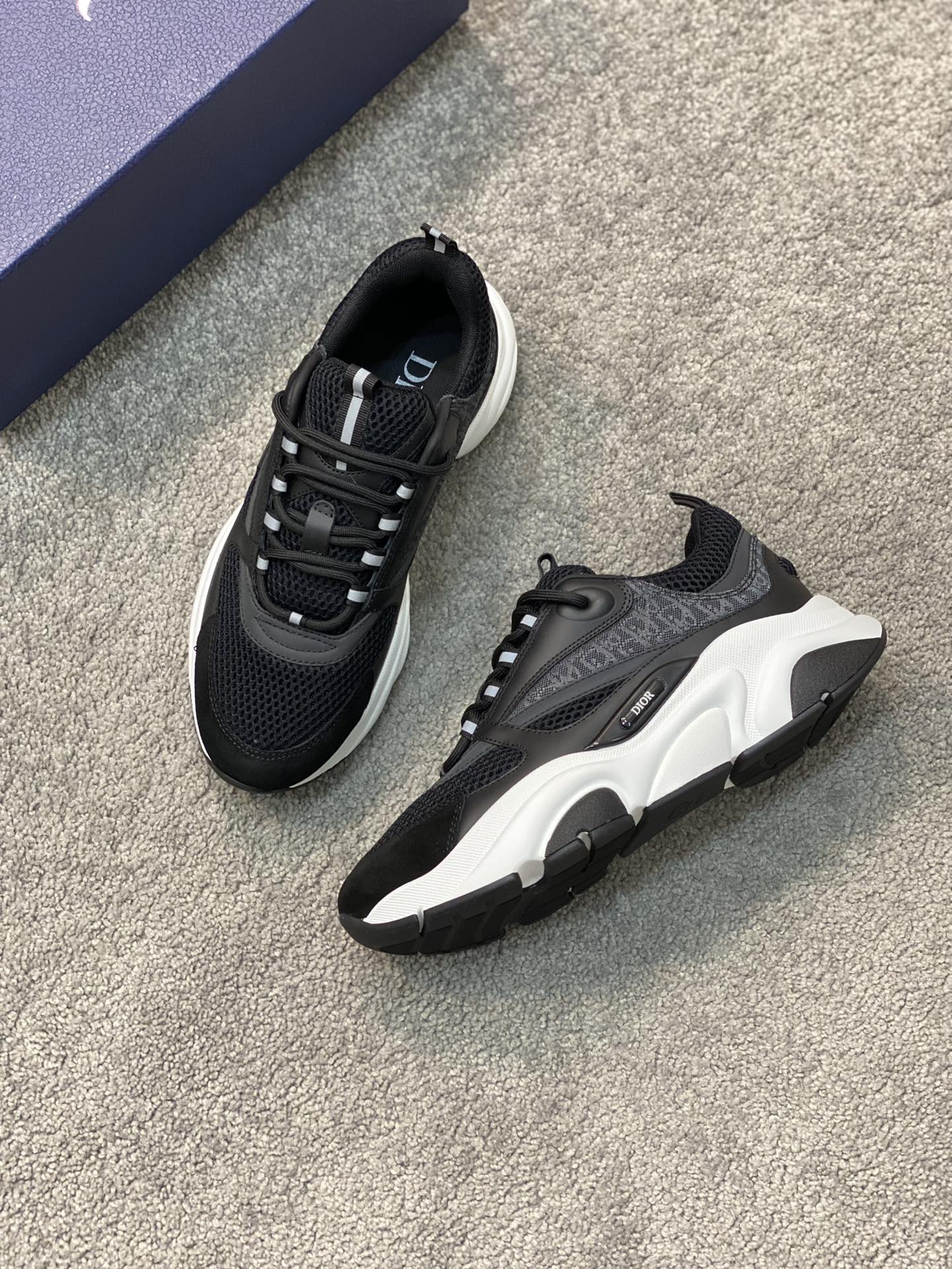 DIOR B22