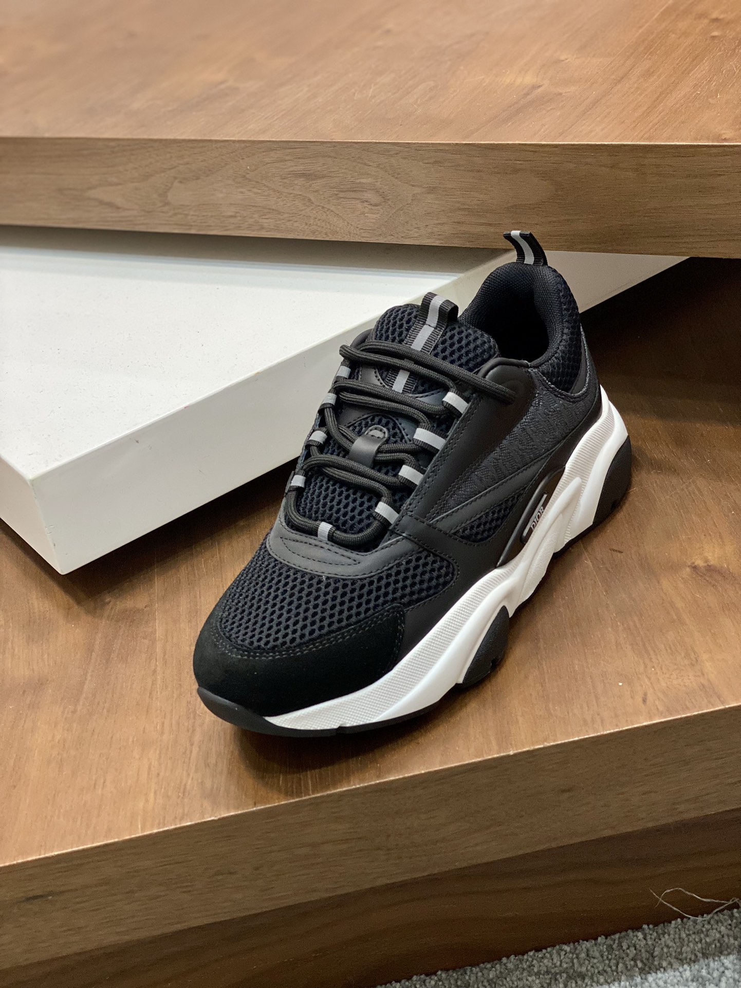 DIOR B22
