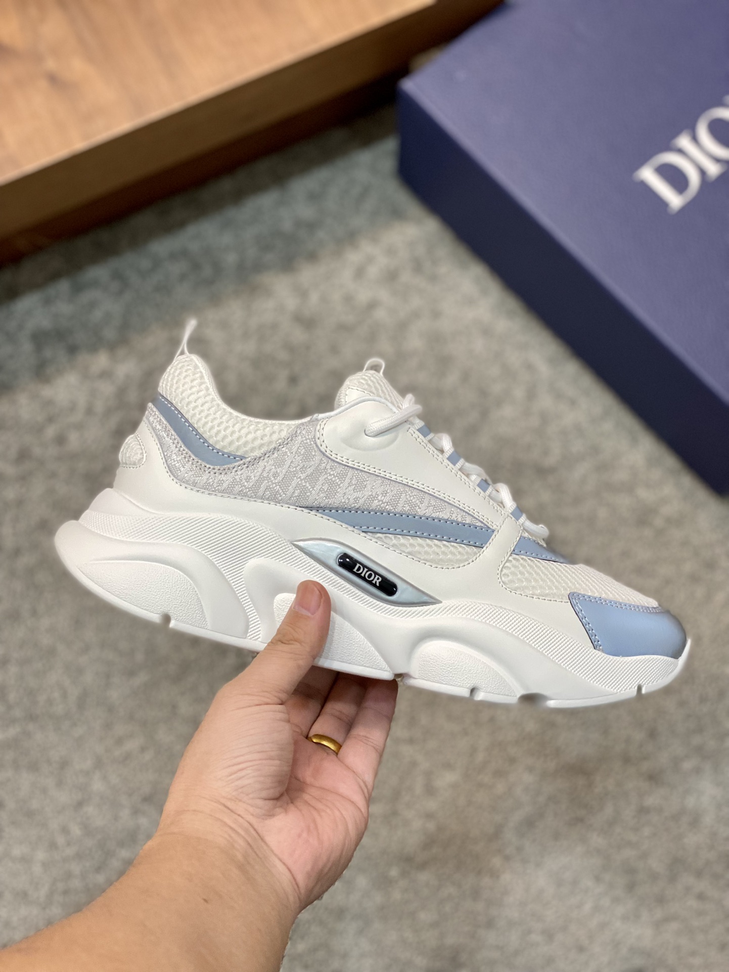DIOR B22