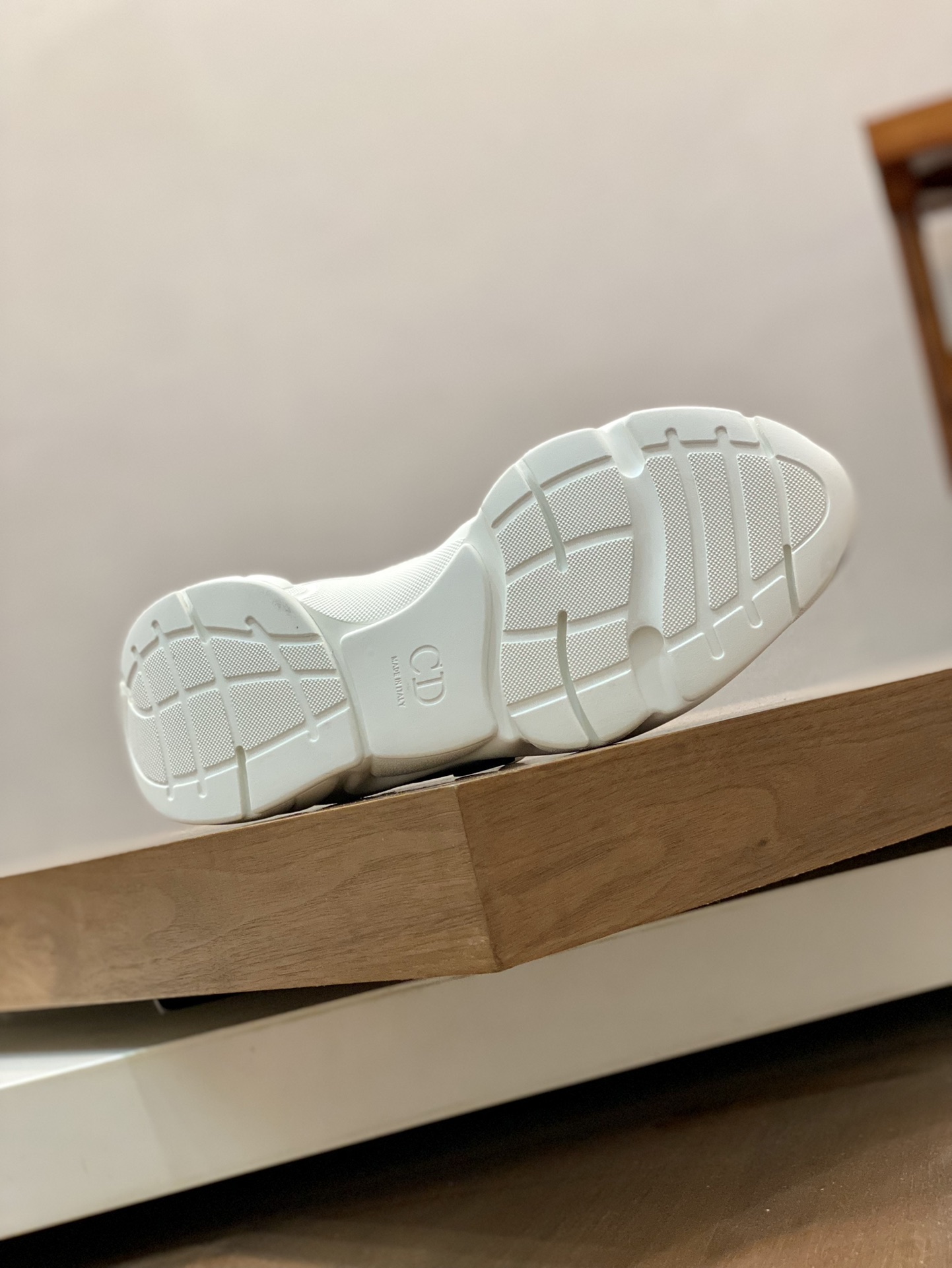 DIOR B22