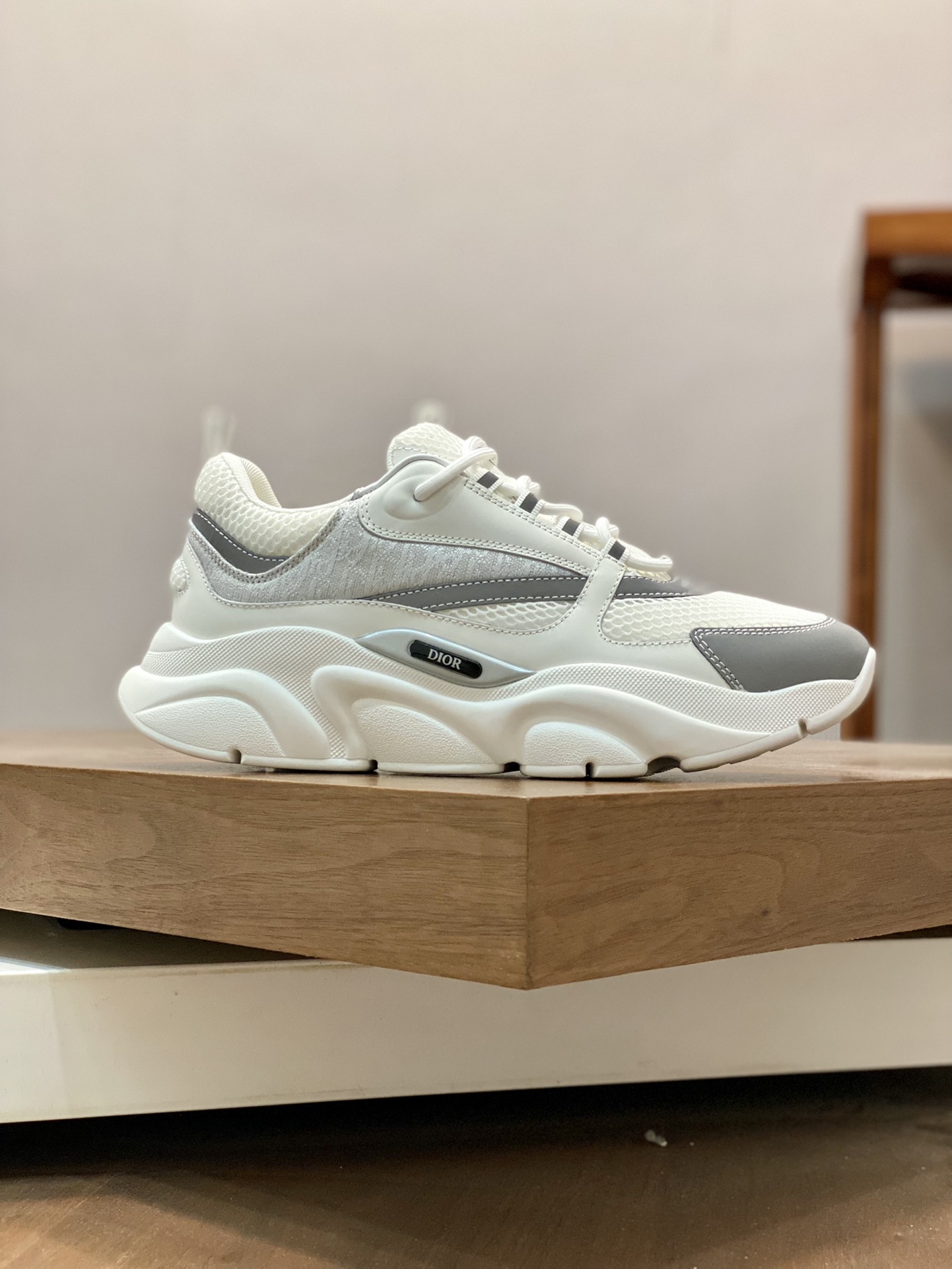 DIOR B22