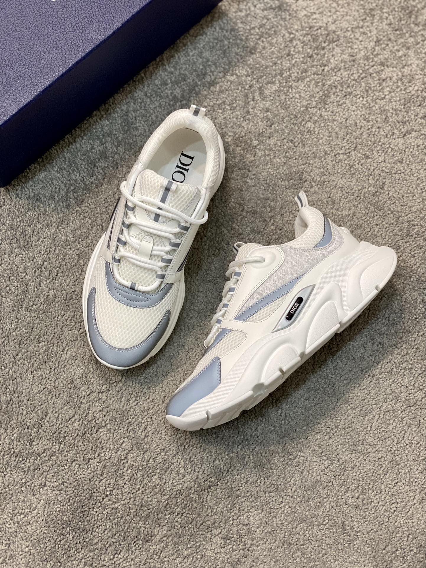 DIOR B22