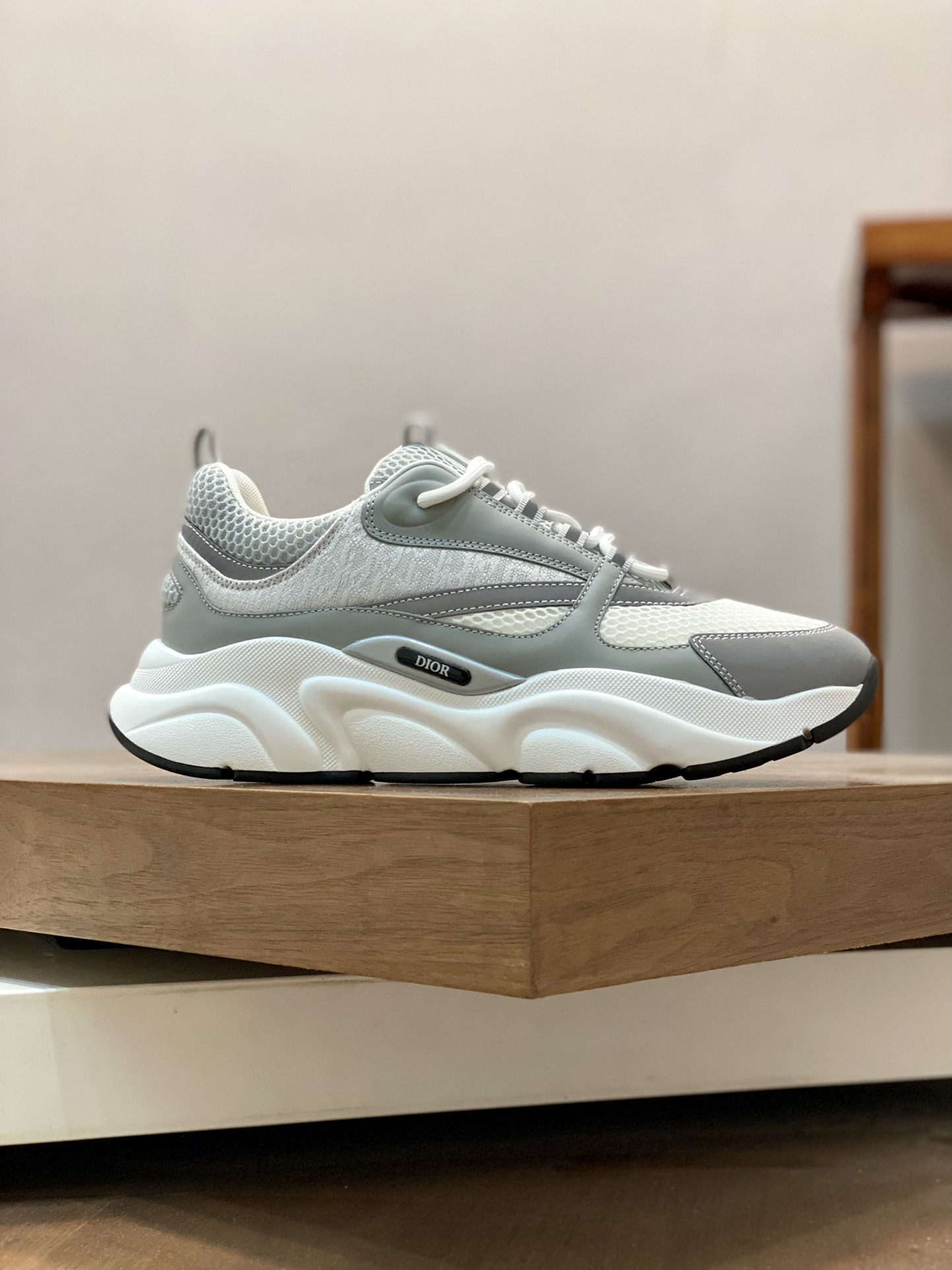 DIOR B22