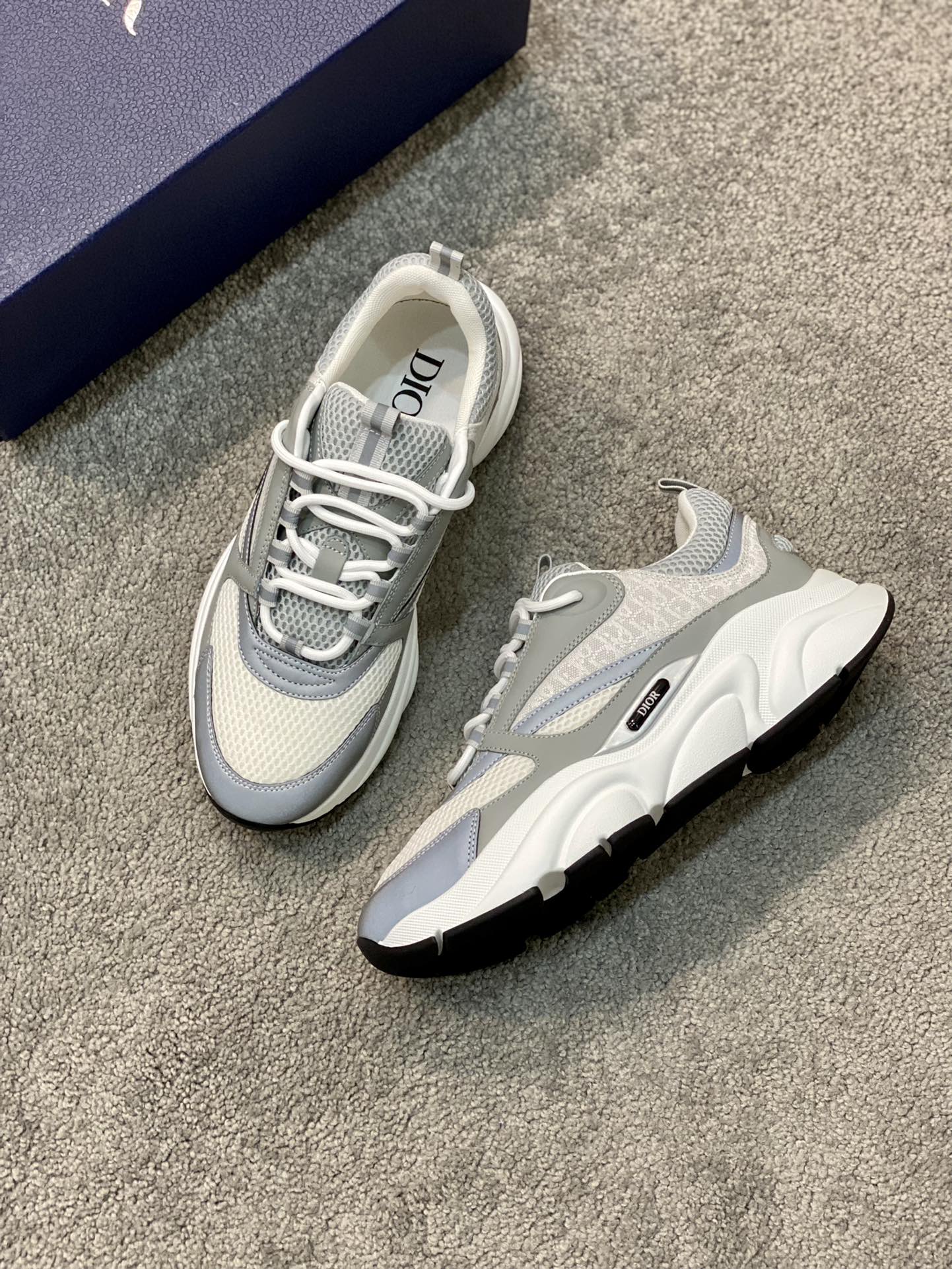 DIOR B22