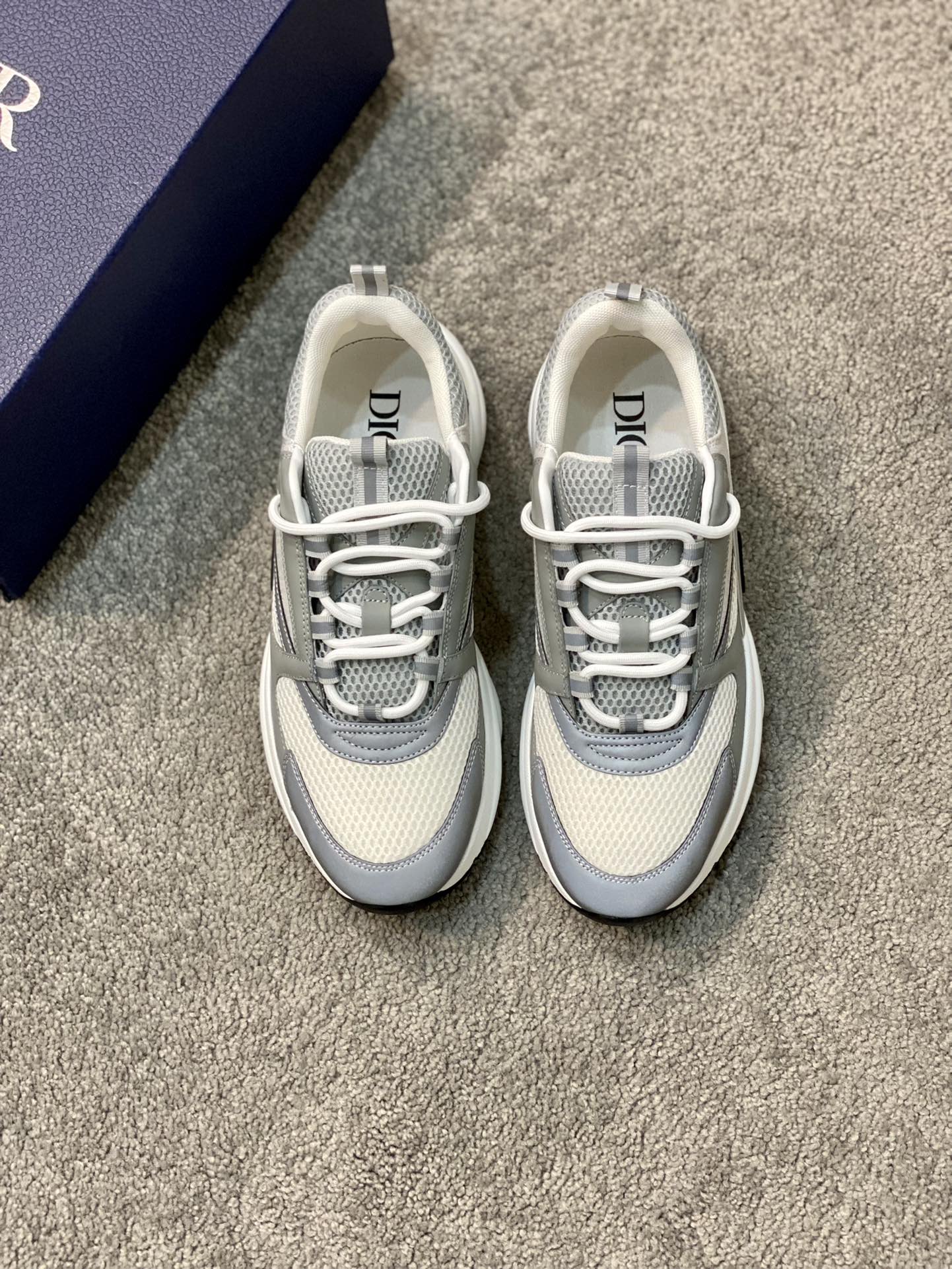 DIOR B22