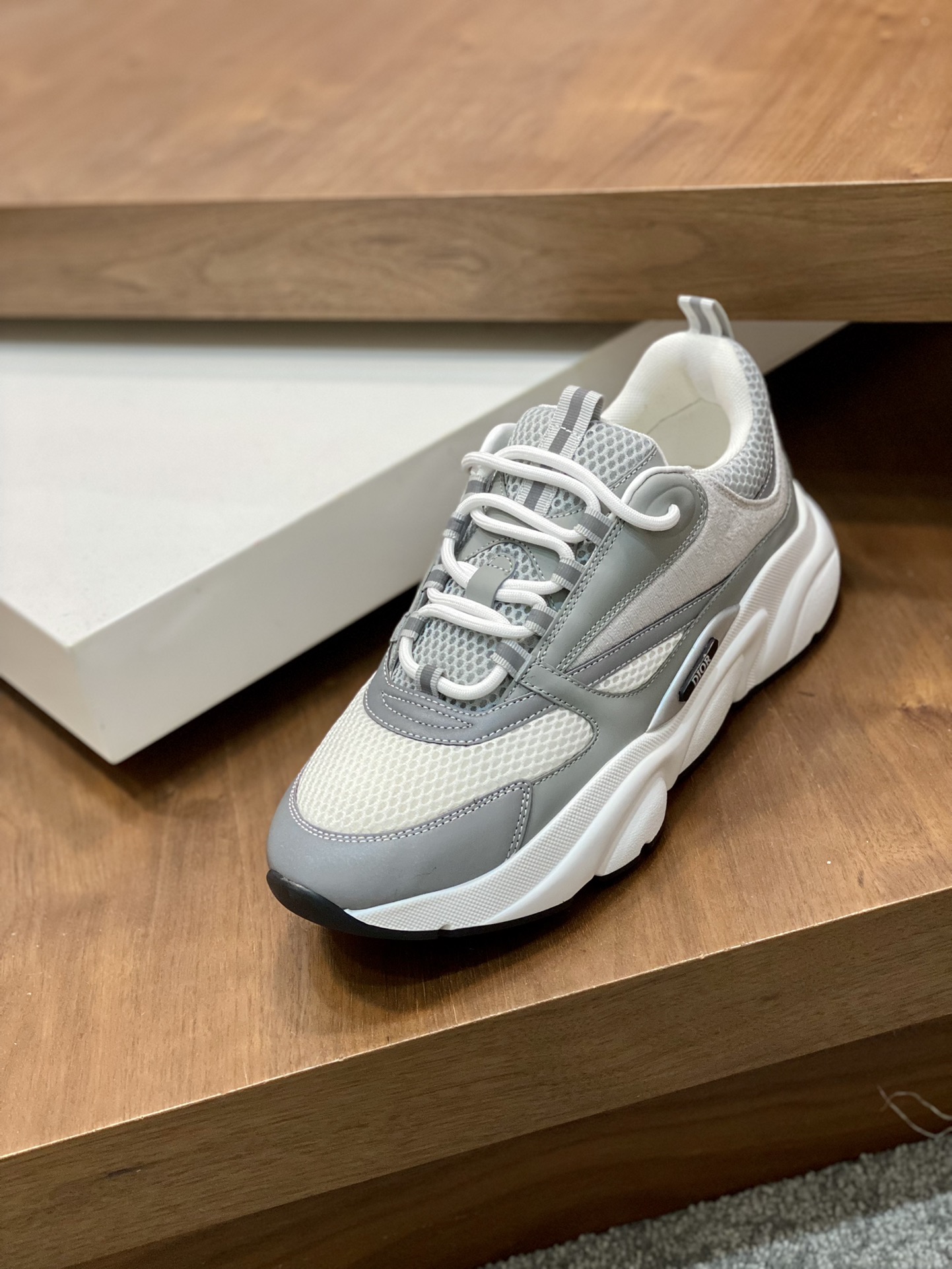 DIOR B22