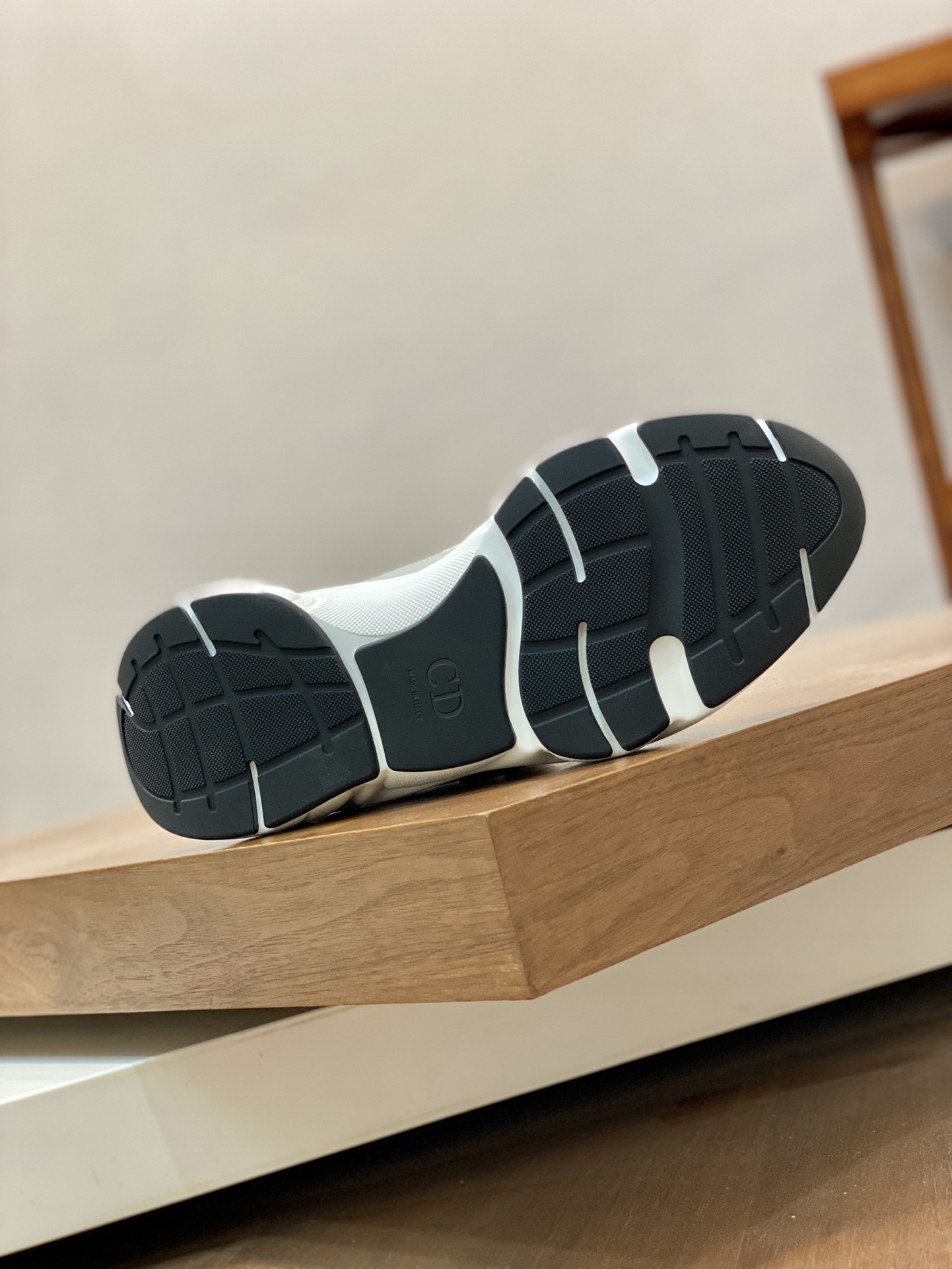 DIOR B22