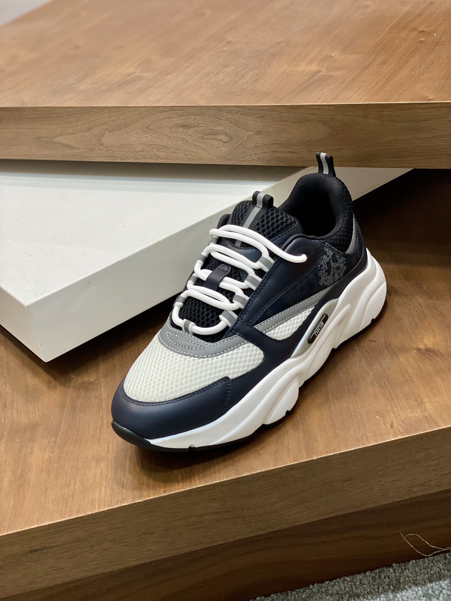DIOR B22